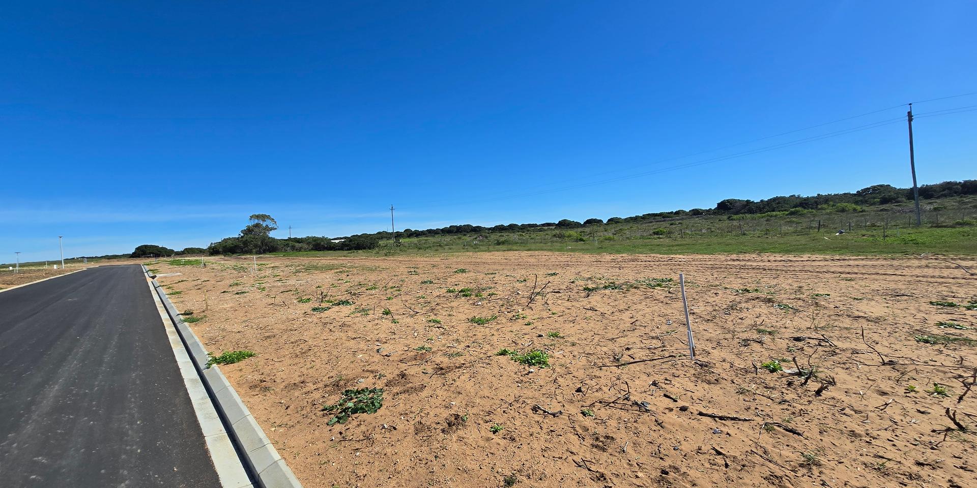 Image 4 of 6