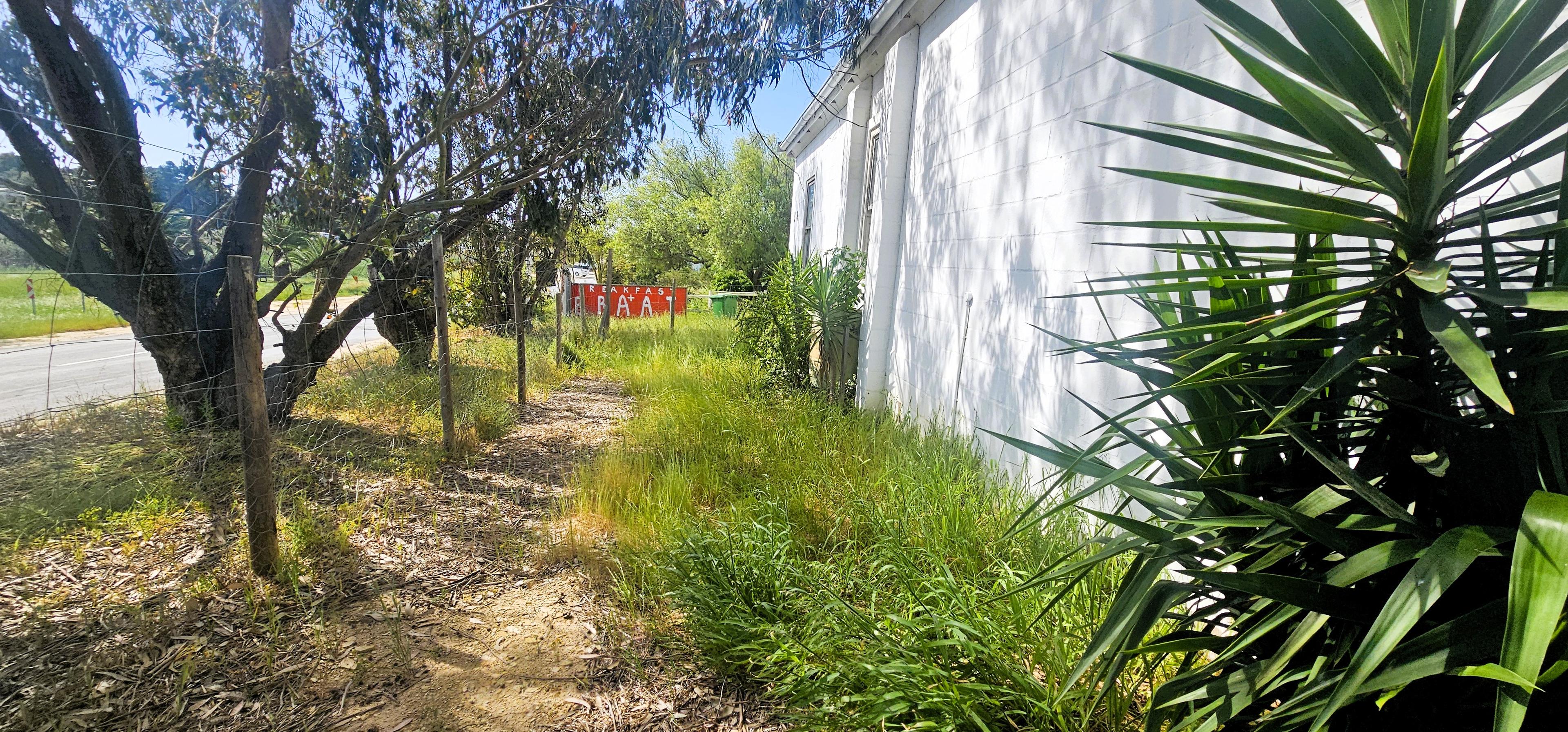 Image 39