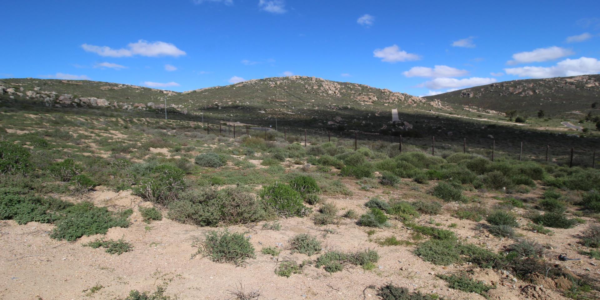 Image 4 of 6