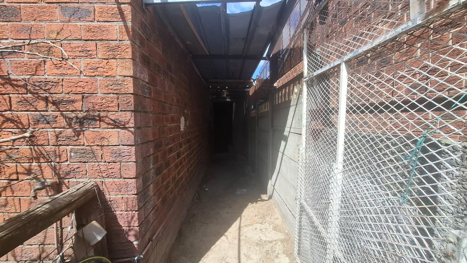 Image 15