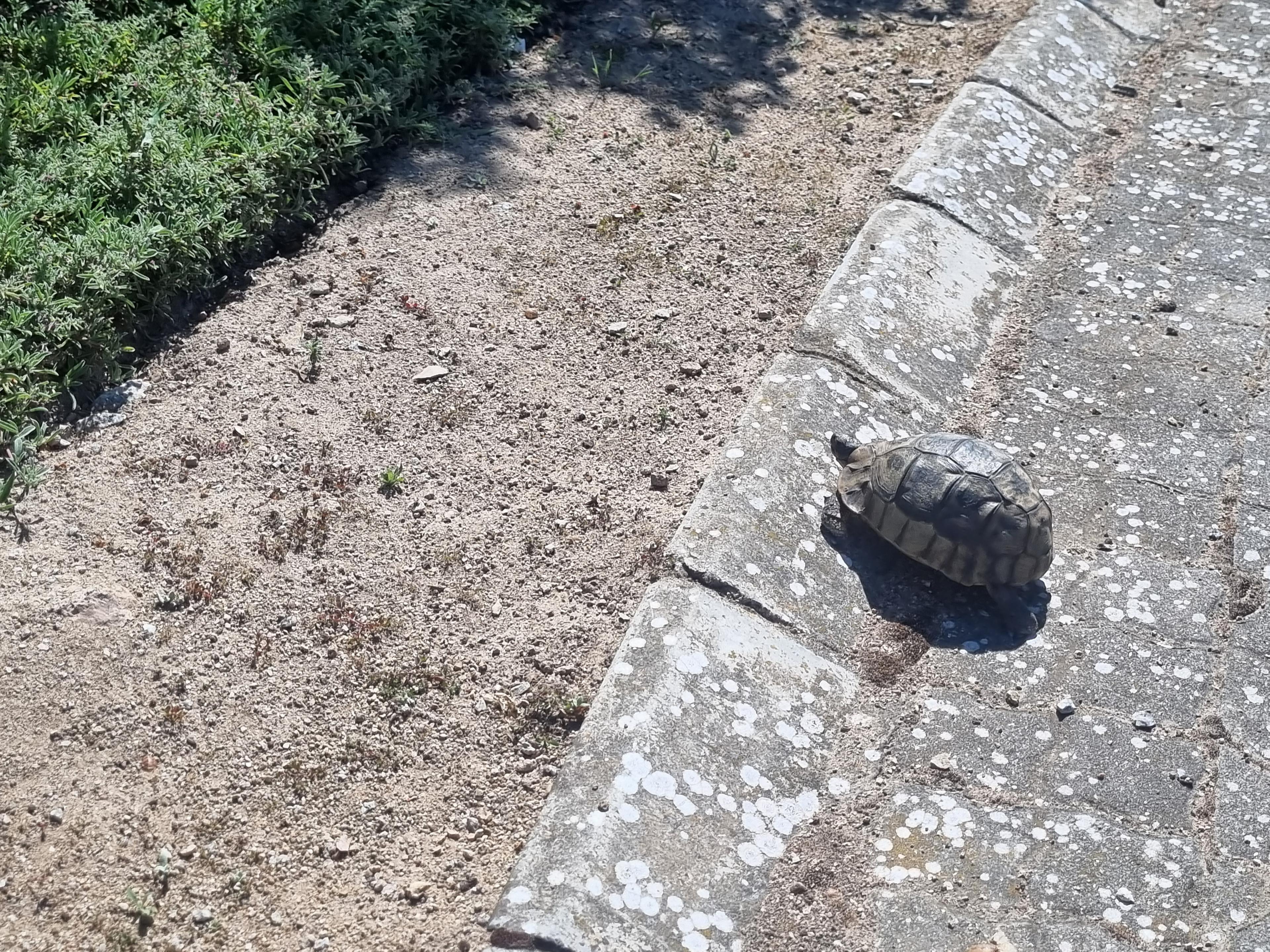 Image 12