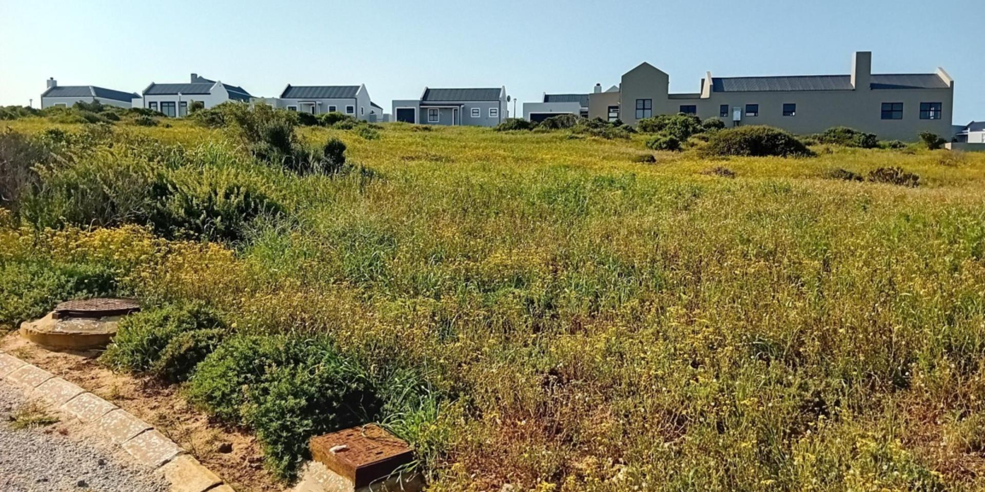 Image 2 of 6