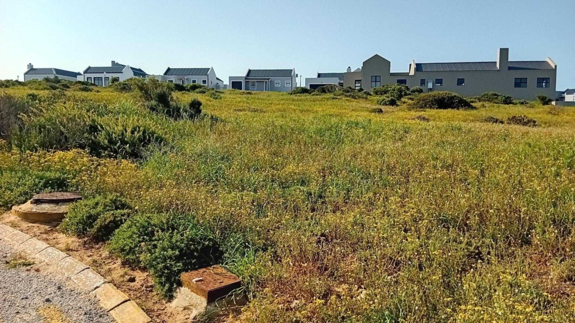 Image 2 of 6