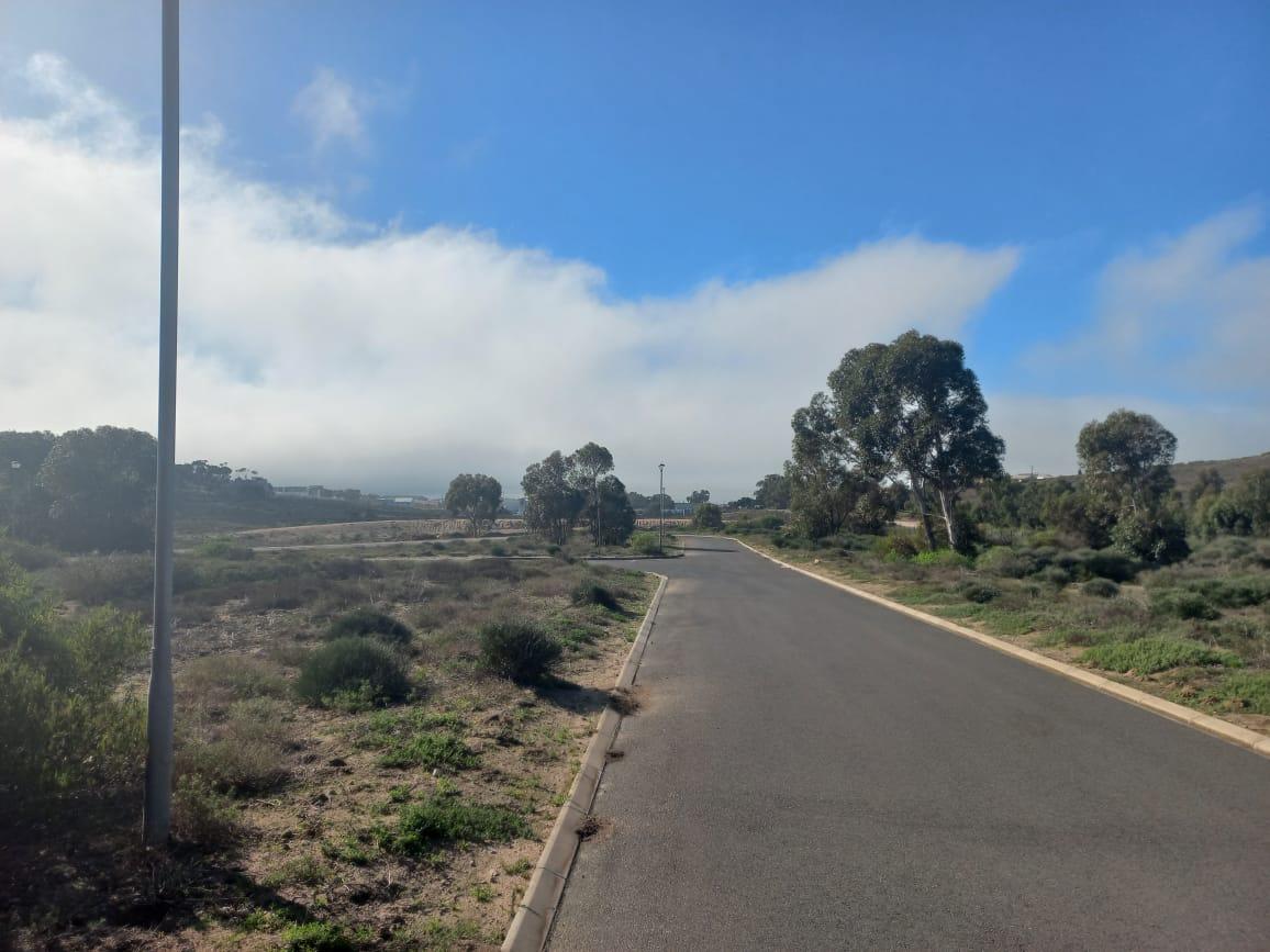 Image 13