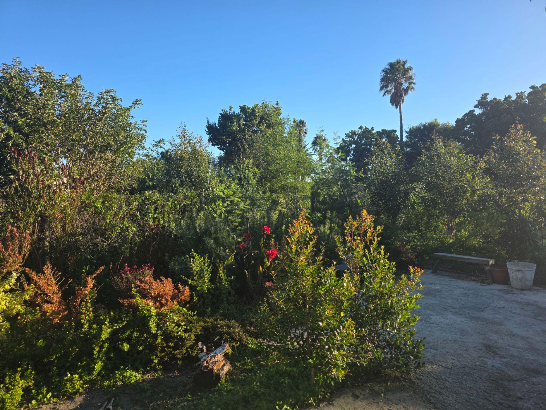 Image 37