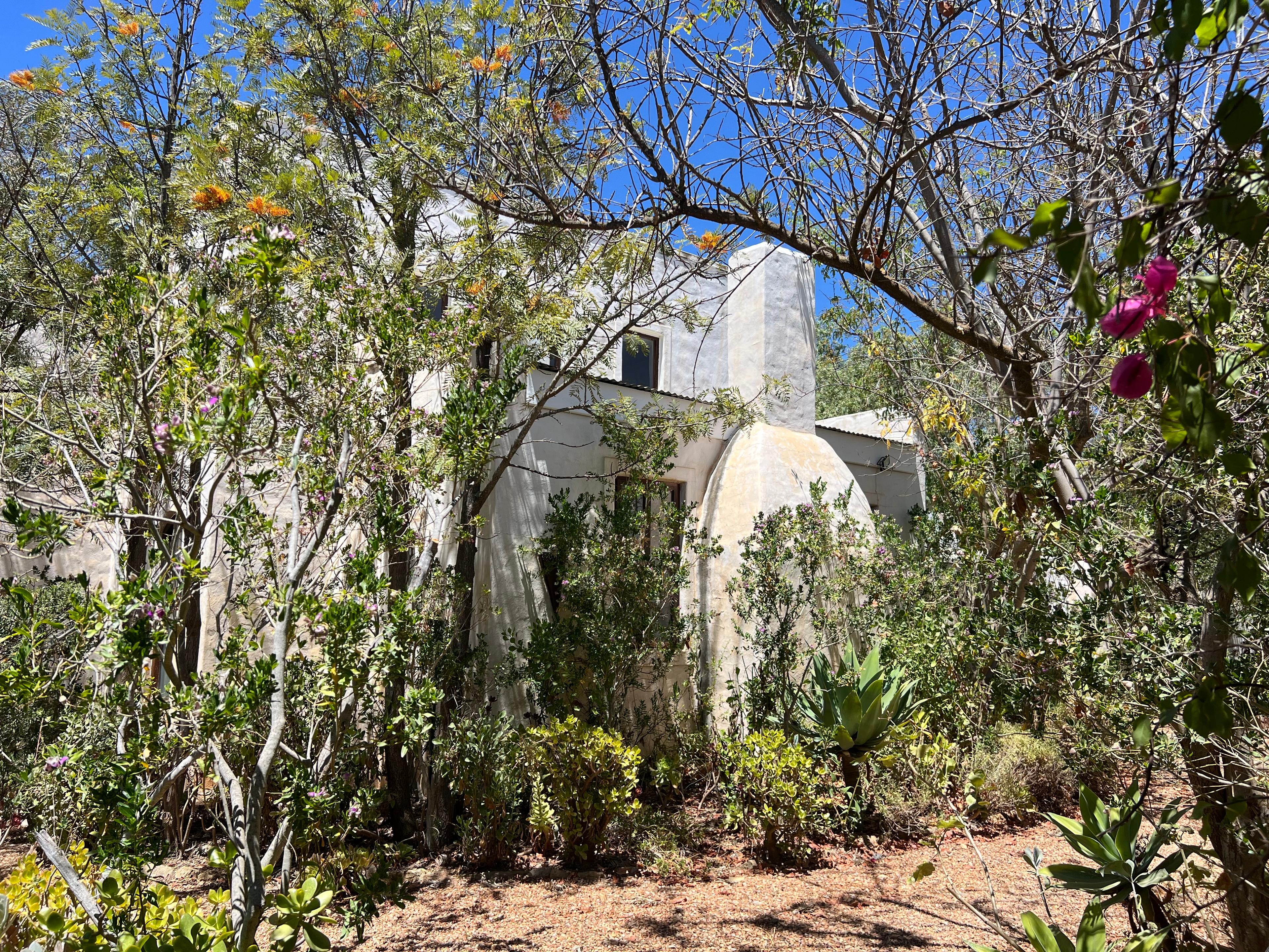Image 35