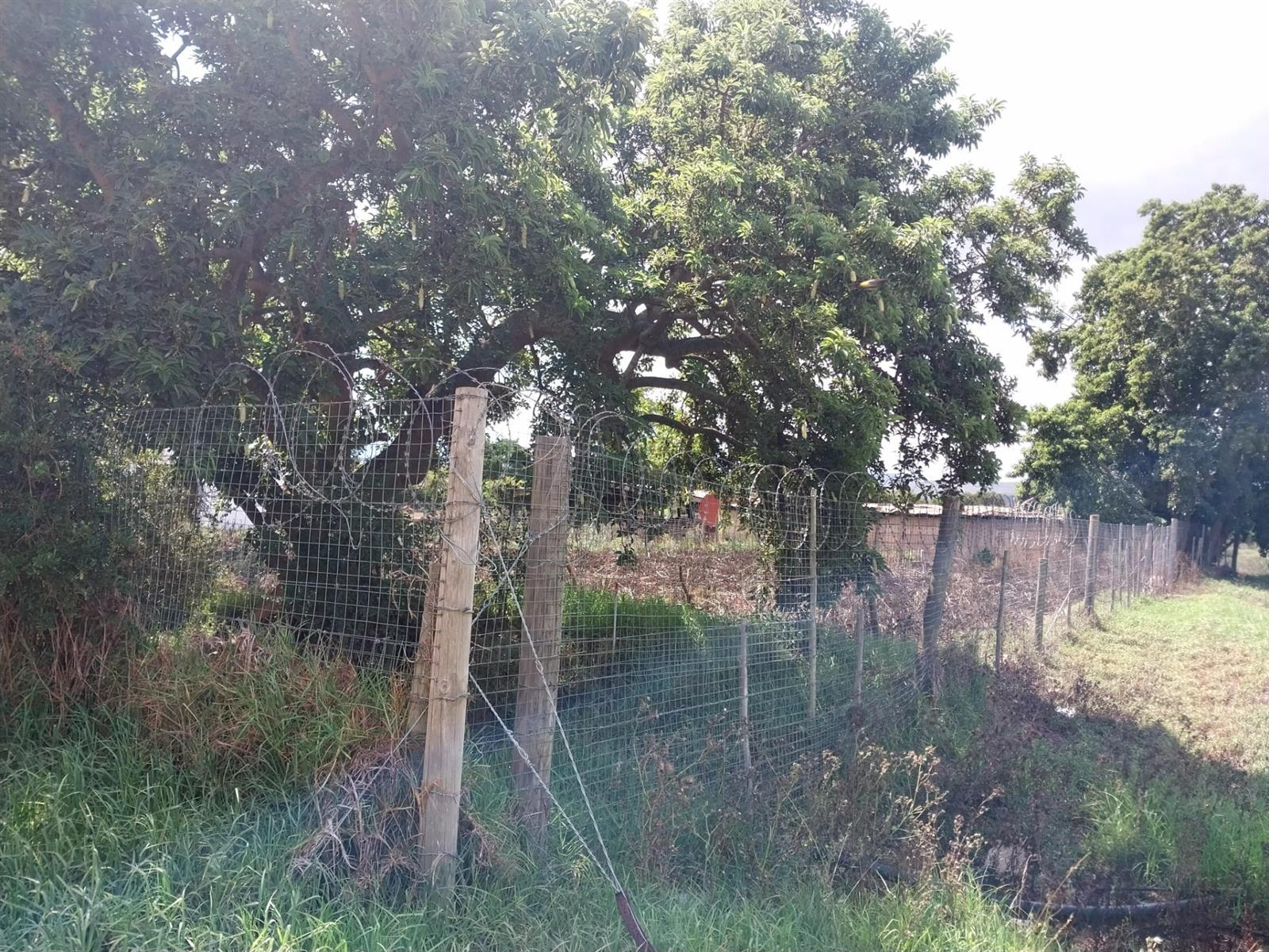 Image 36