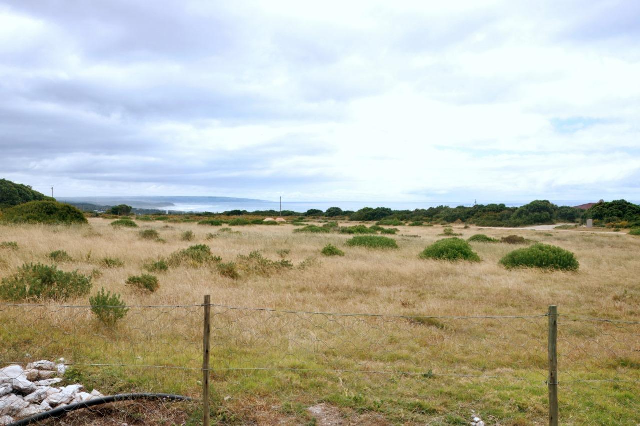 Image 50