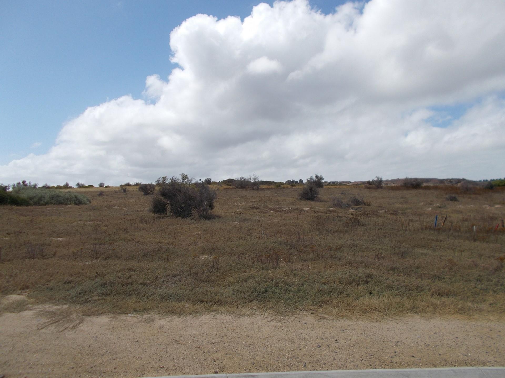 Image 4 of 6