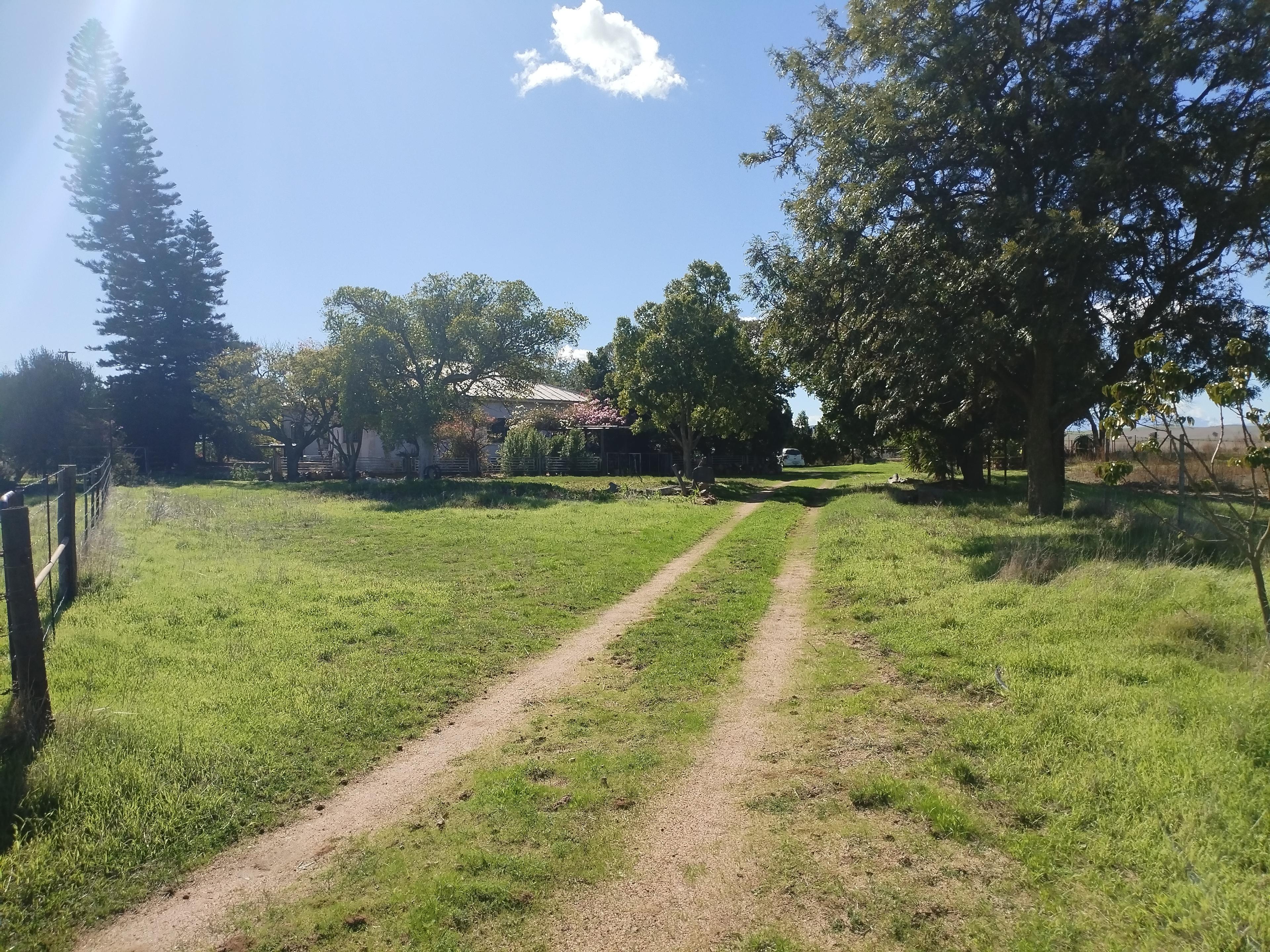 Image 9