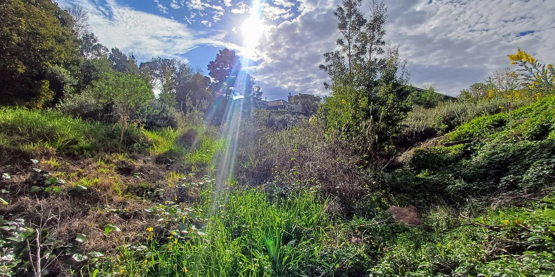 Image 3 of 6