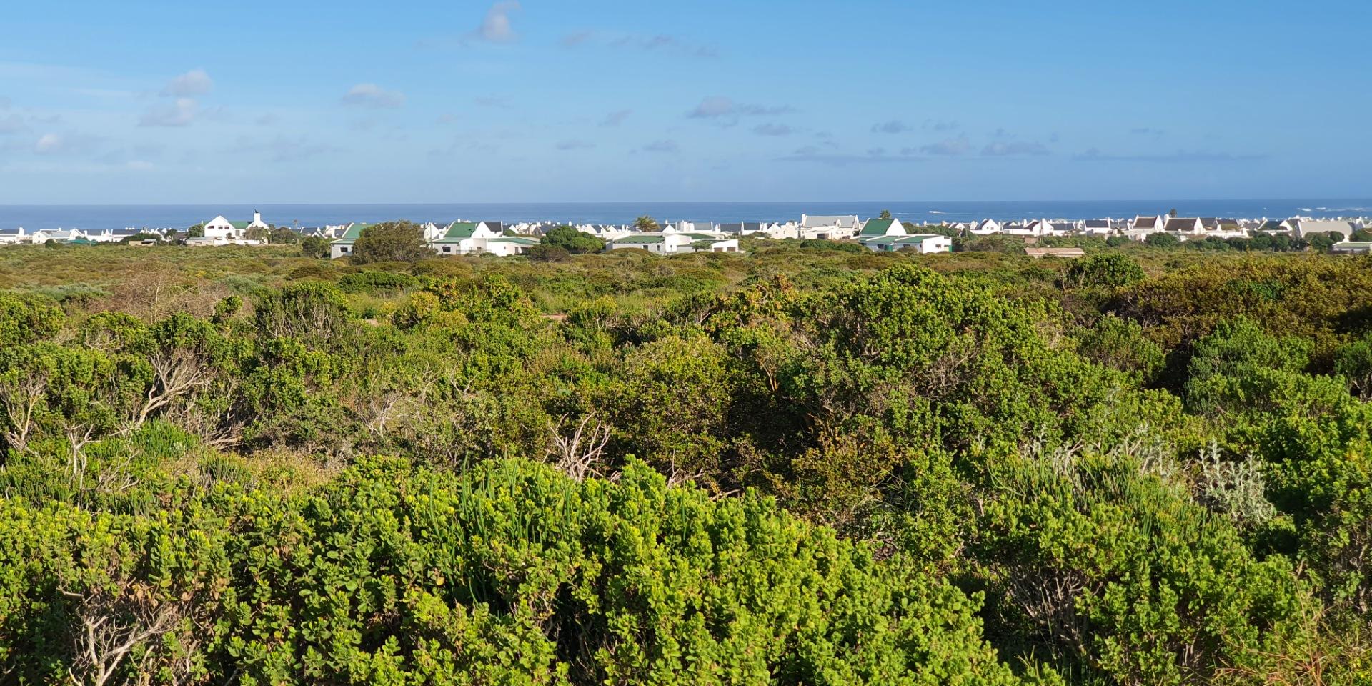 Image 5 of 6