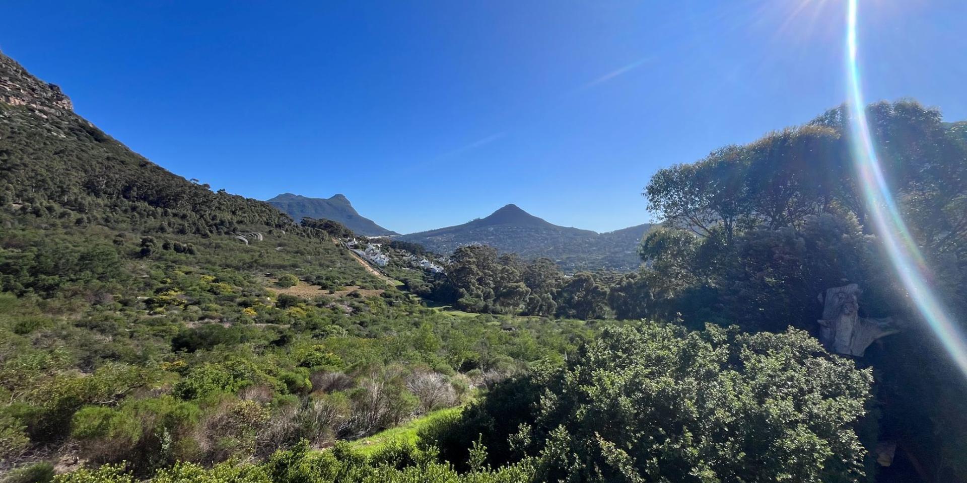 Image 4 of 6