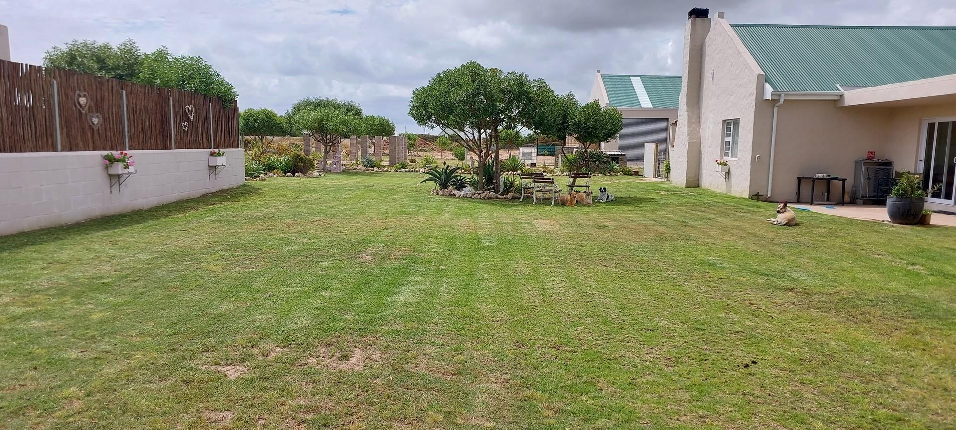 Image 30
