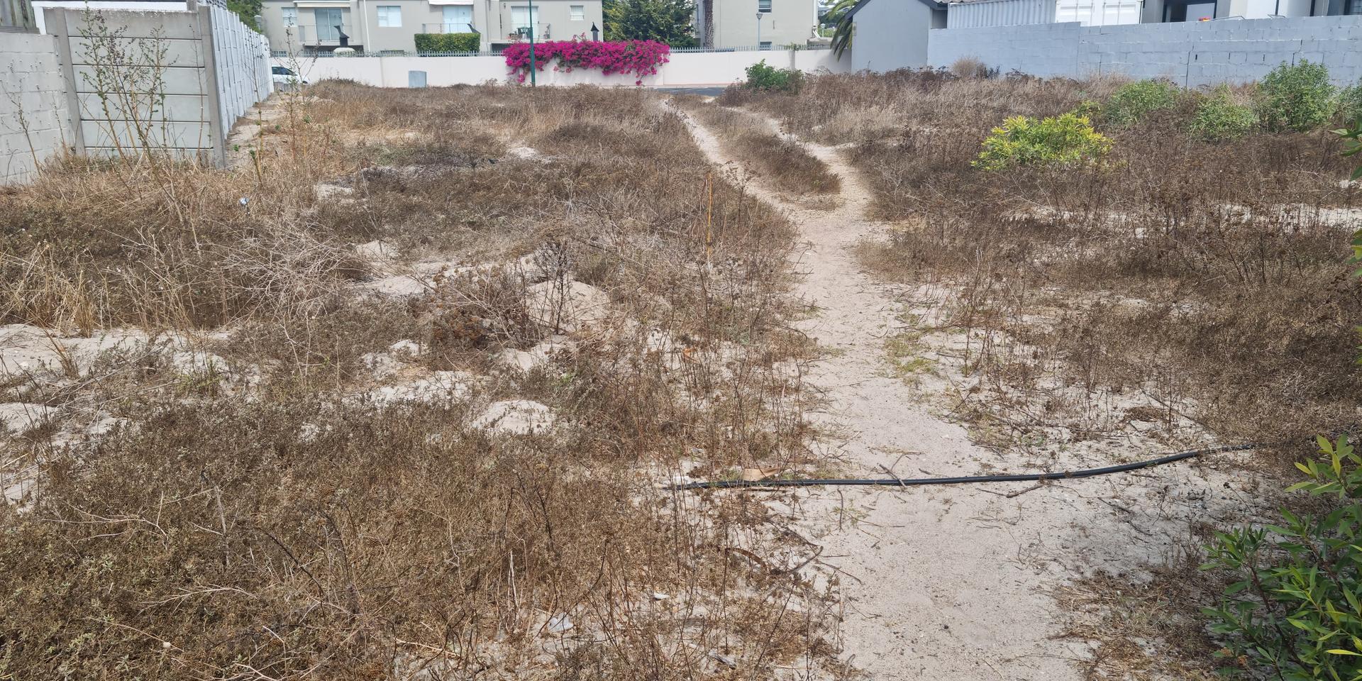 Image 2 of 6
