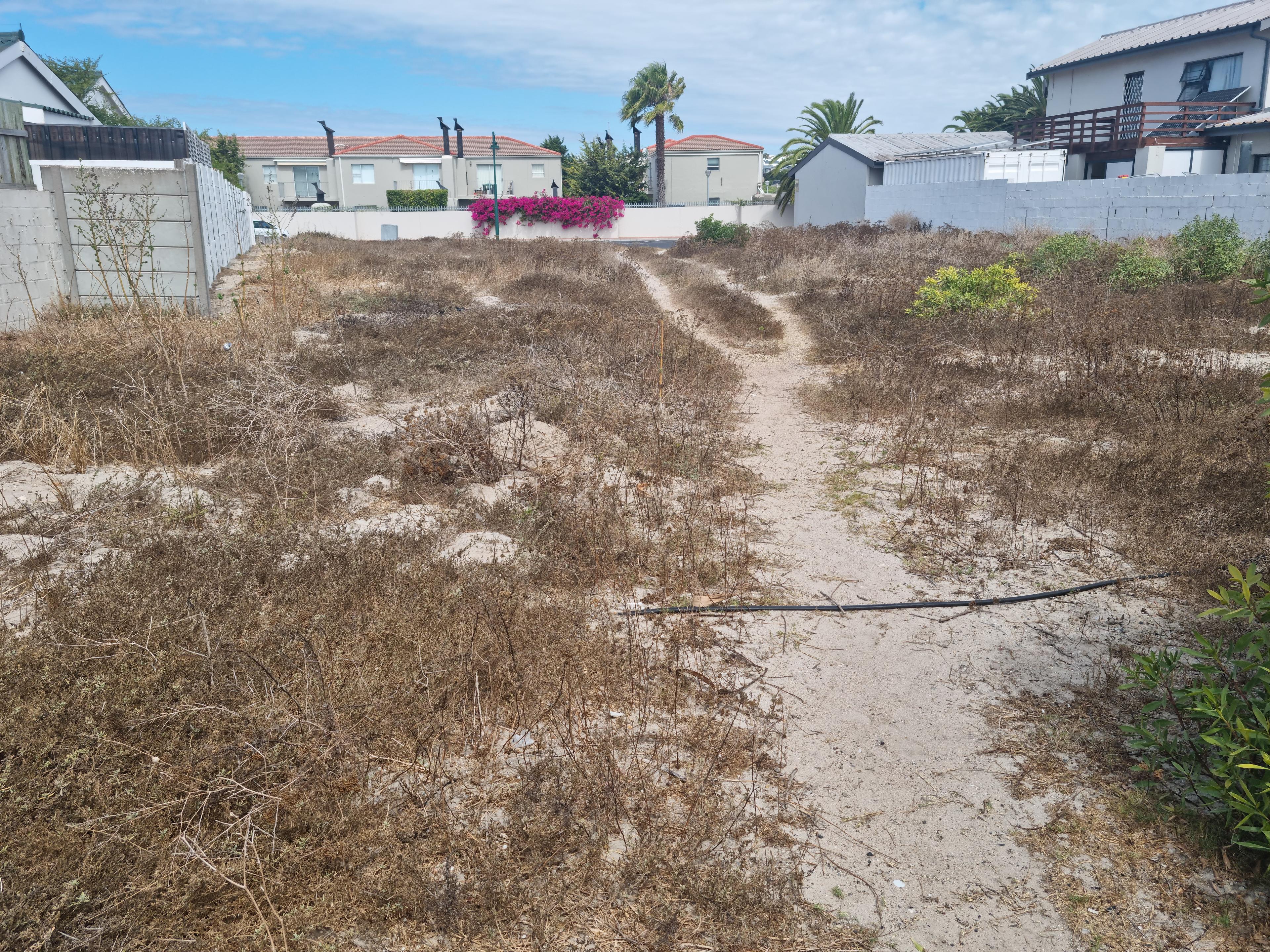 Image 2 of 6