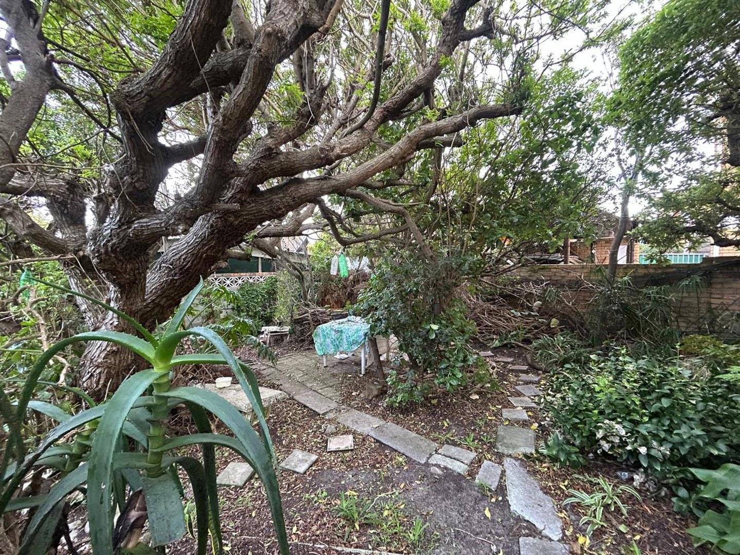 Image 21