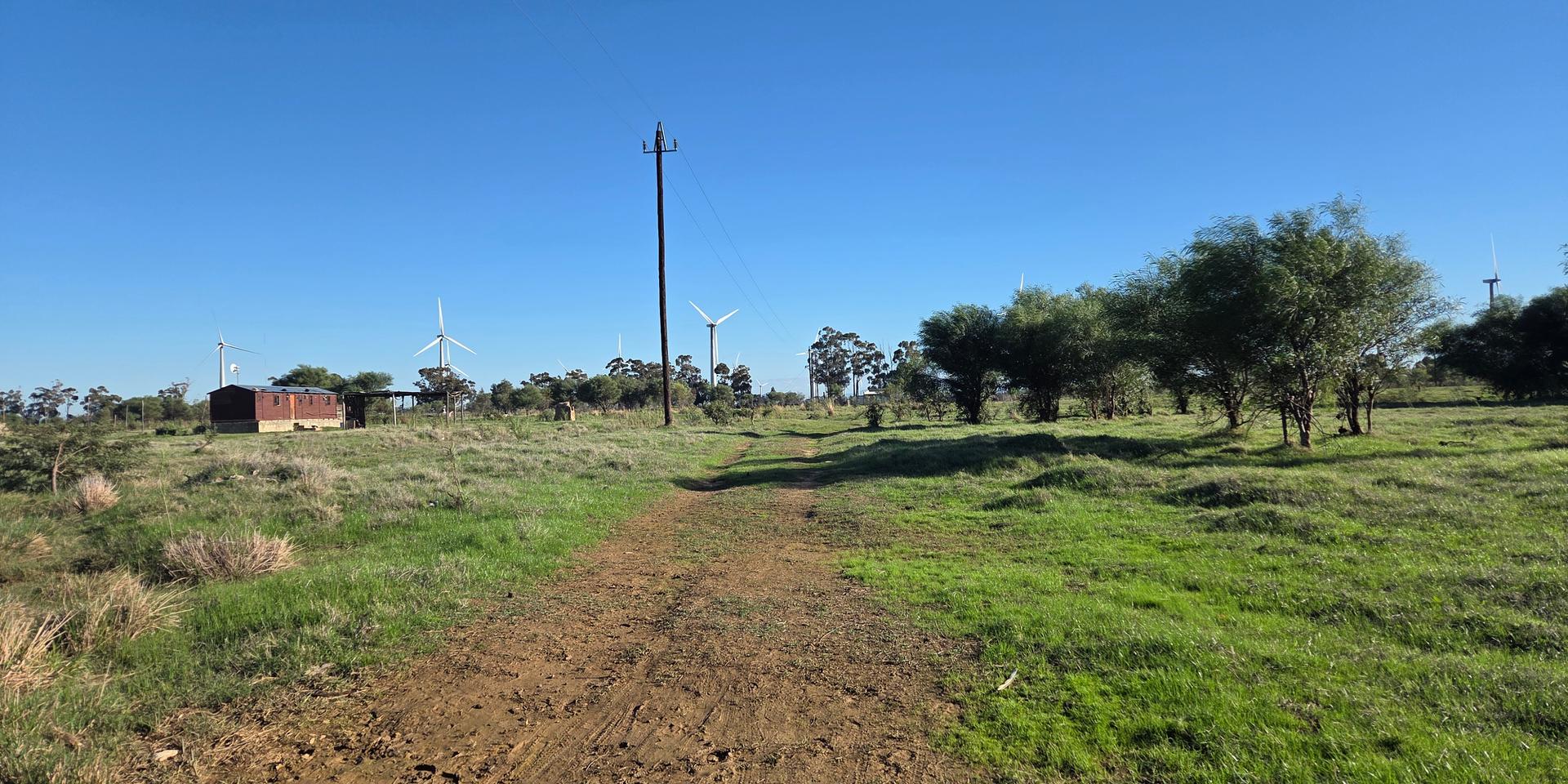 Image 4 of 6