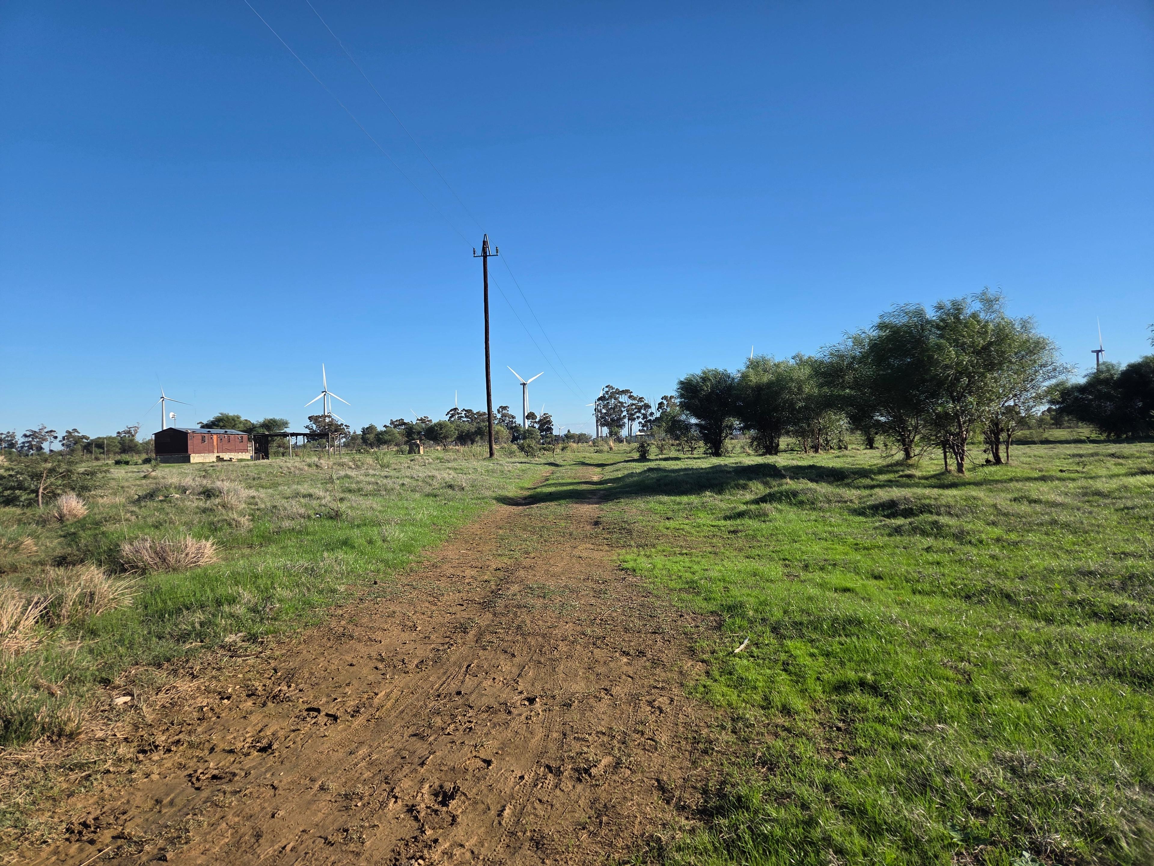 Image 4 of 6
