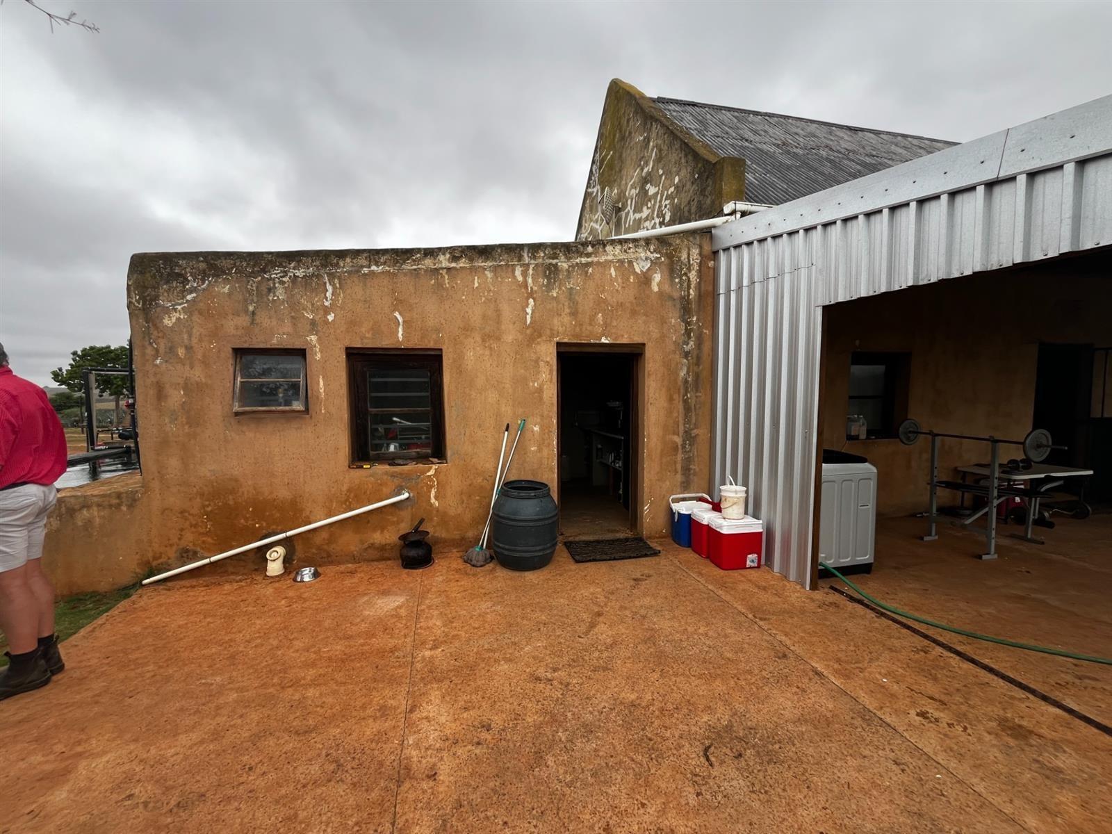 Image 10