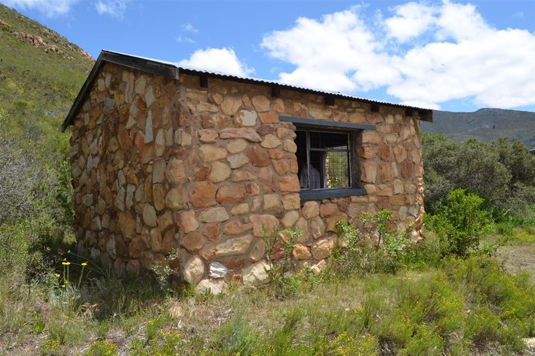Image 4 of 6