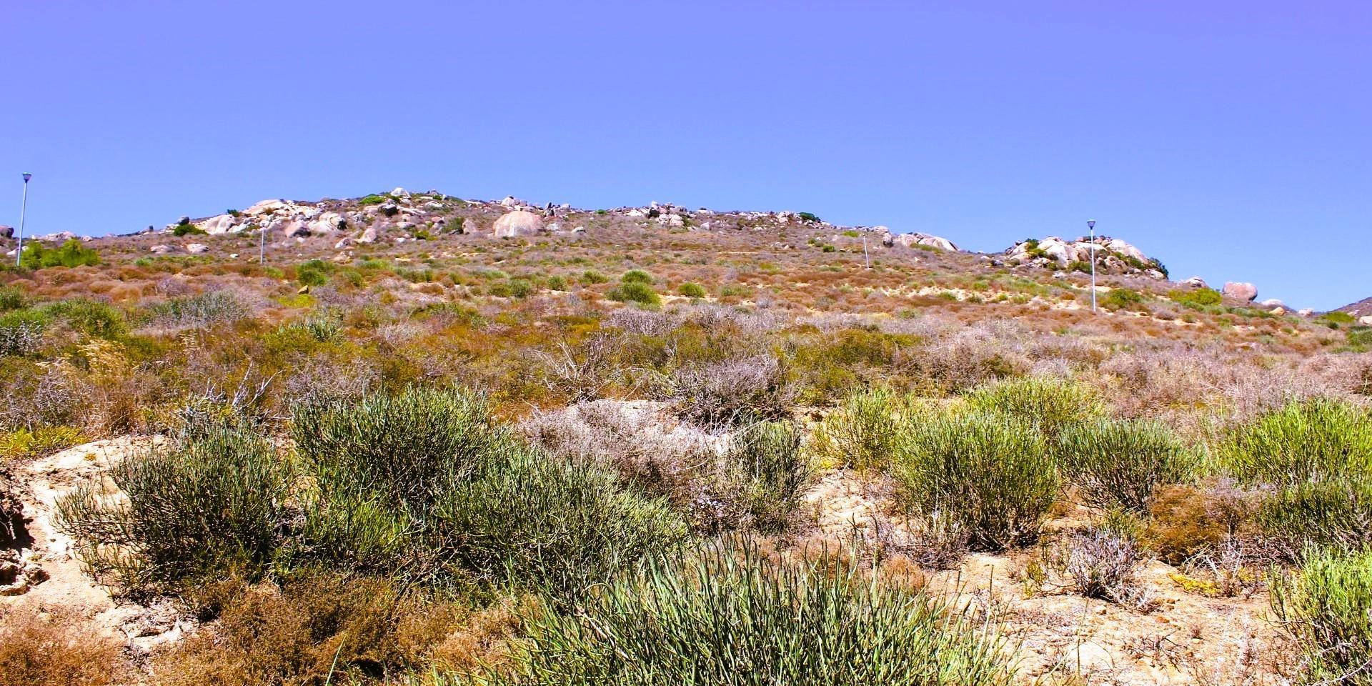 Image 5 of 6