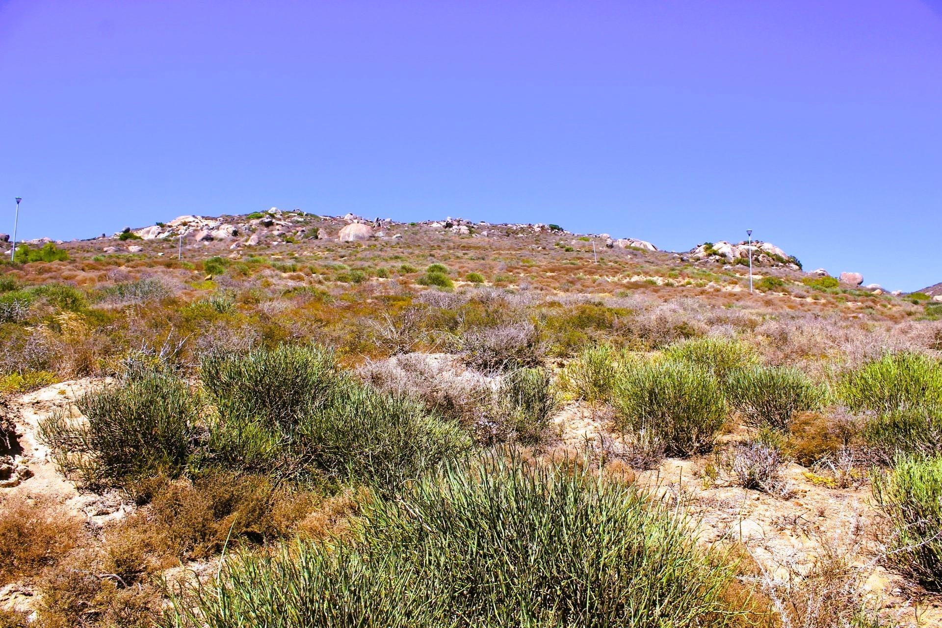 Image 5 of 6