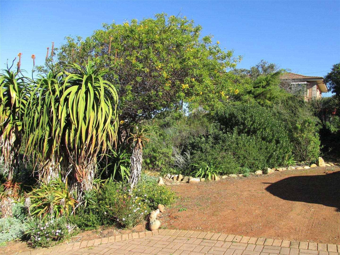 Image 32