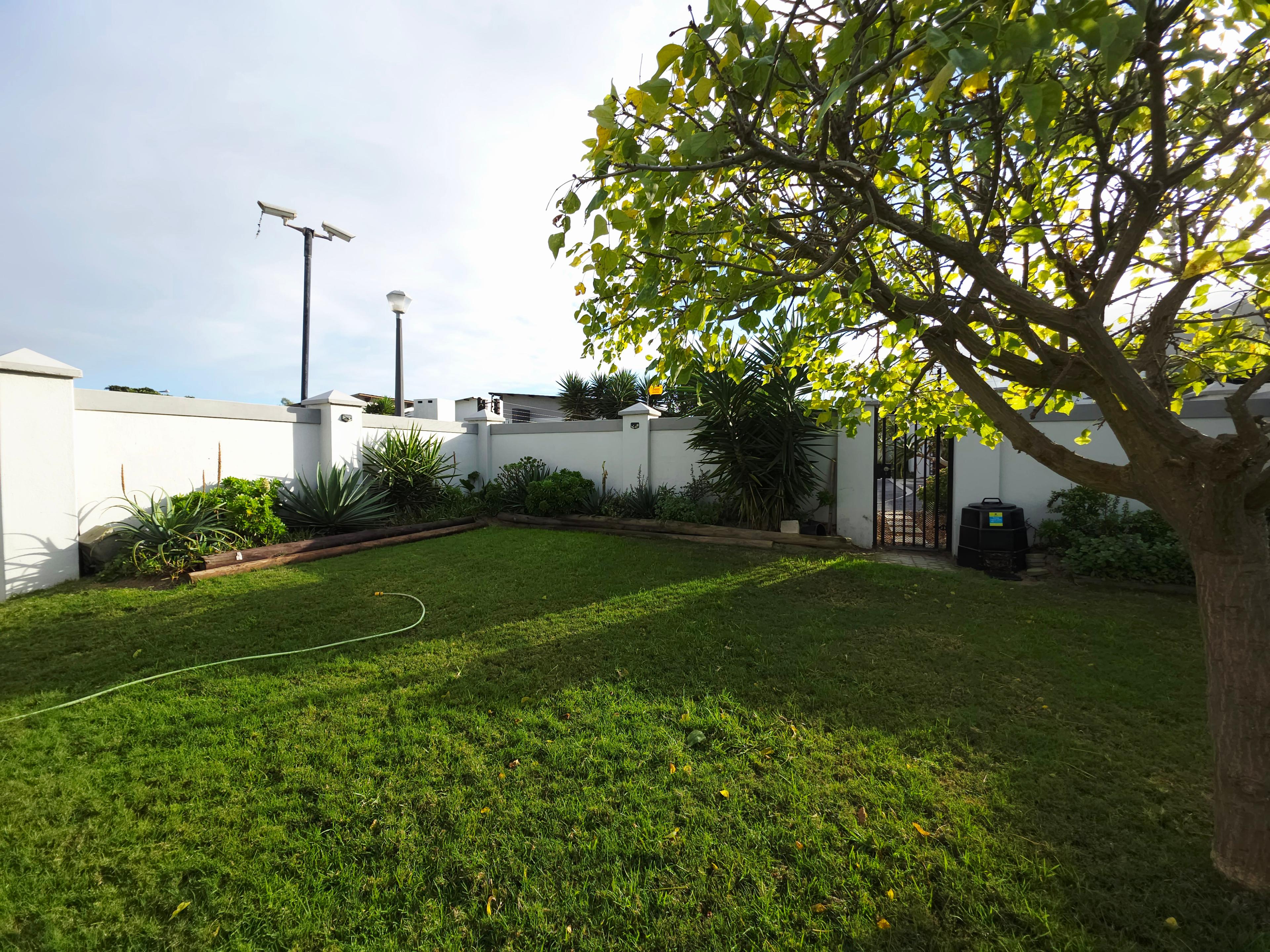 Image 25