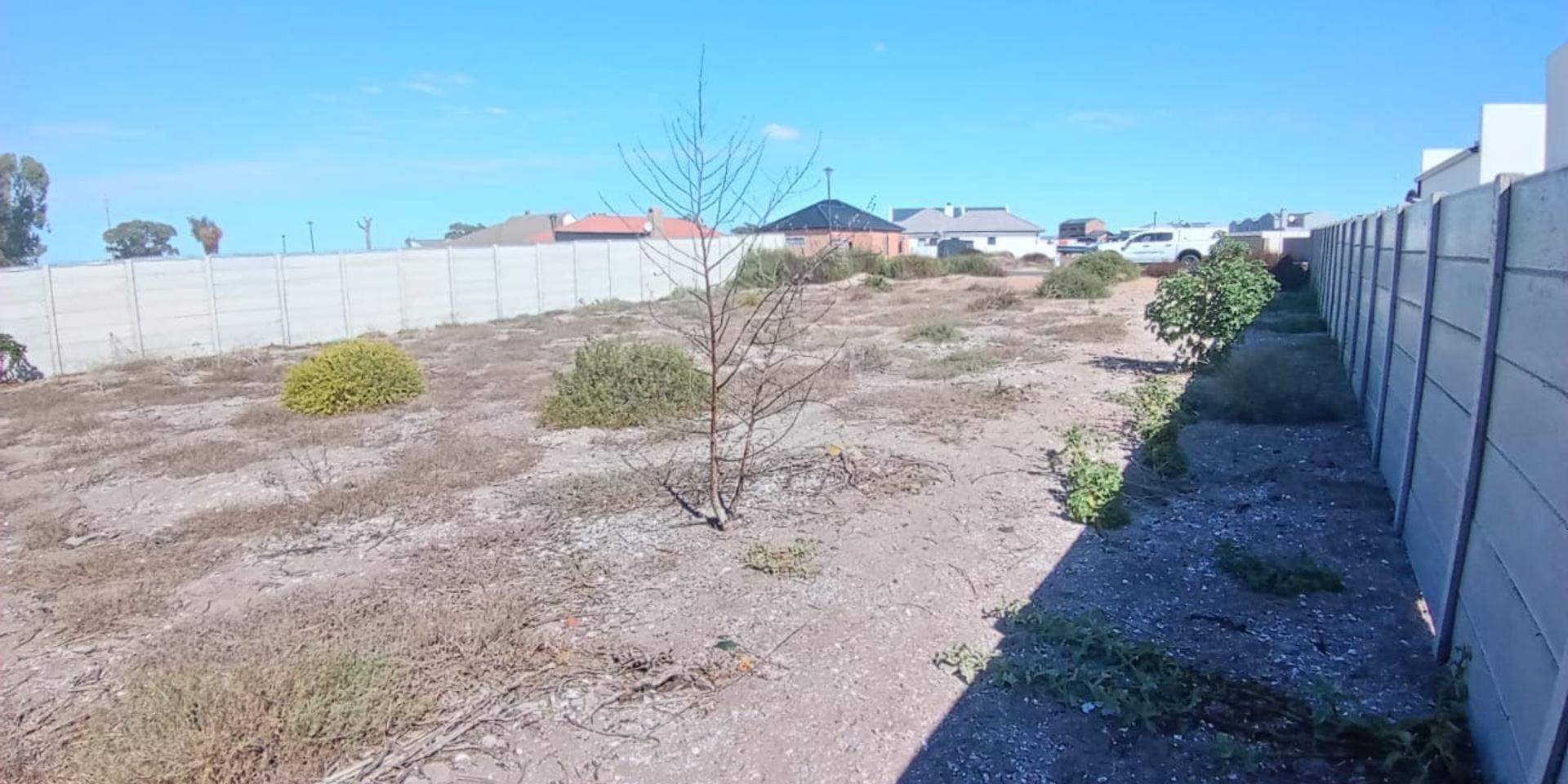 Image 3 of 6