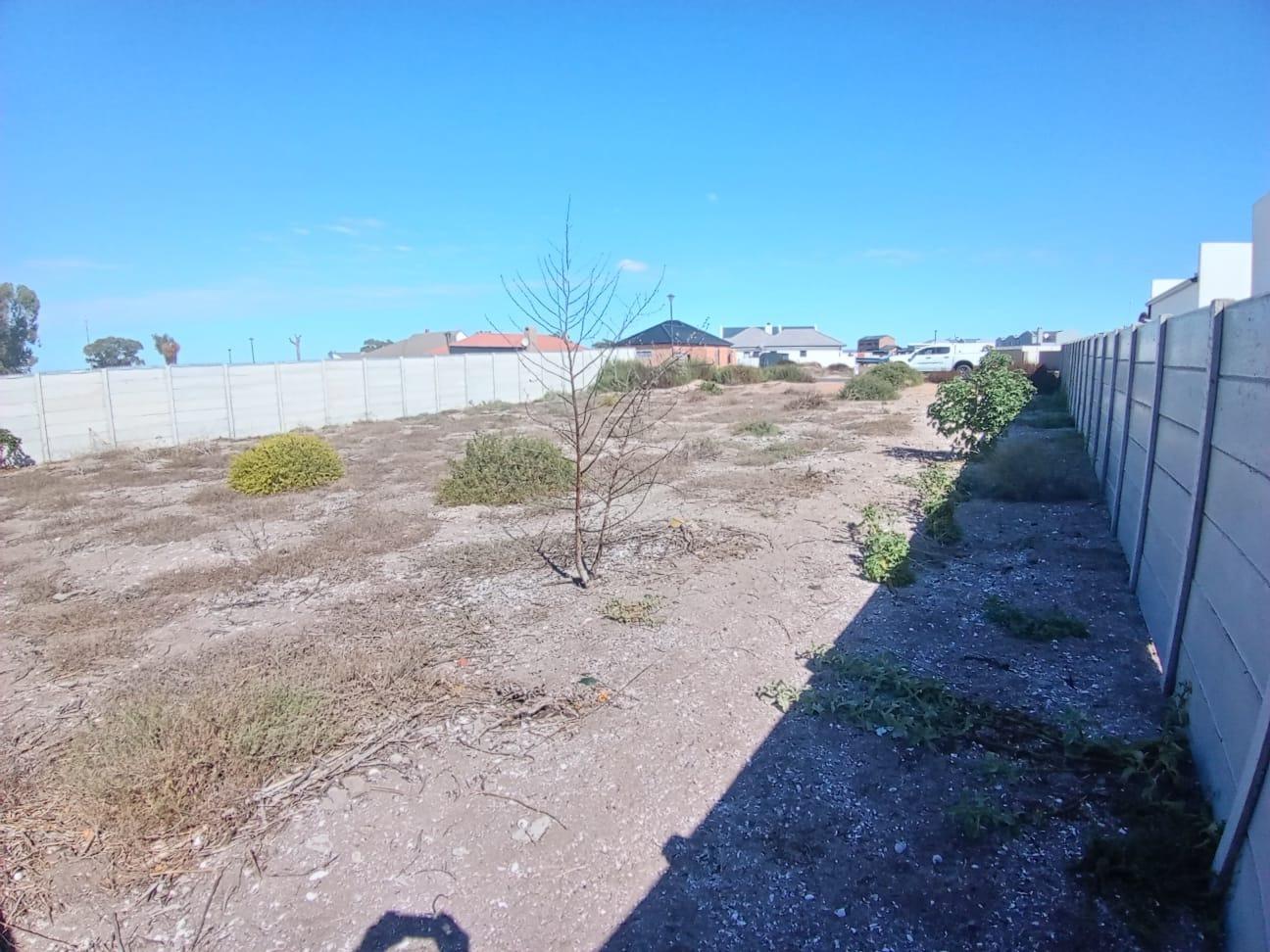 Image 3 of 6