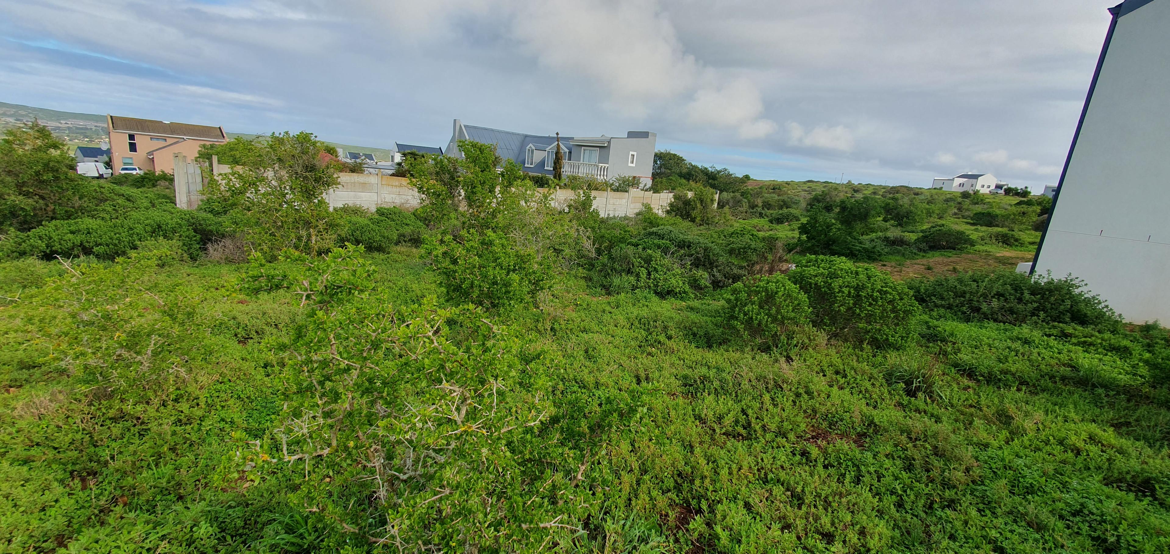 Image 9