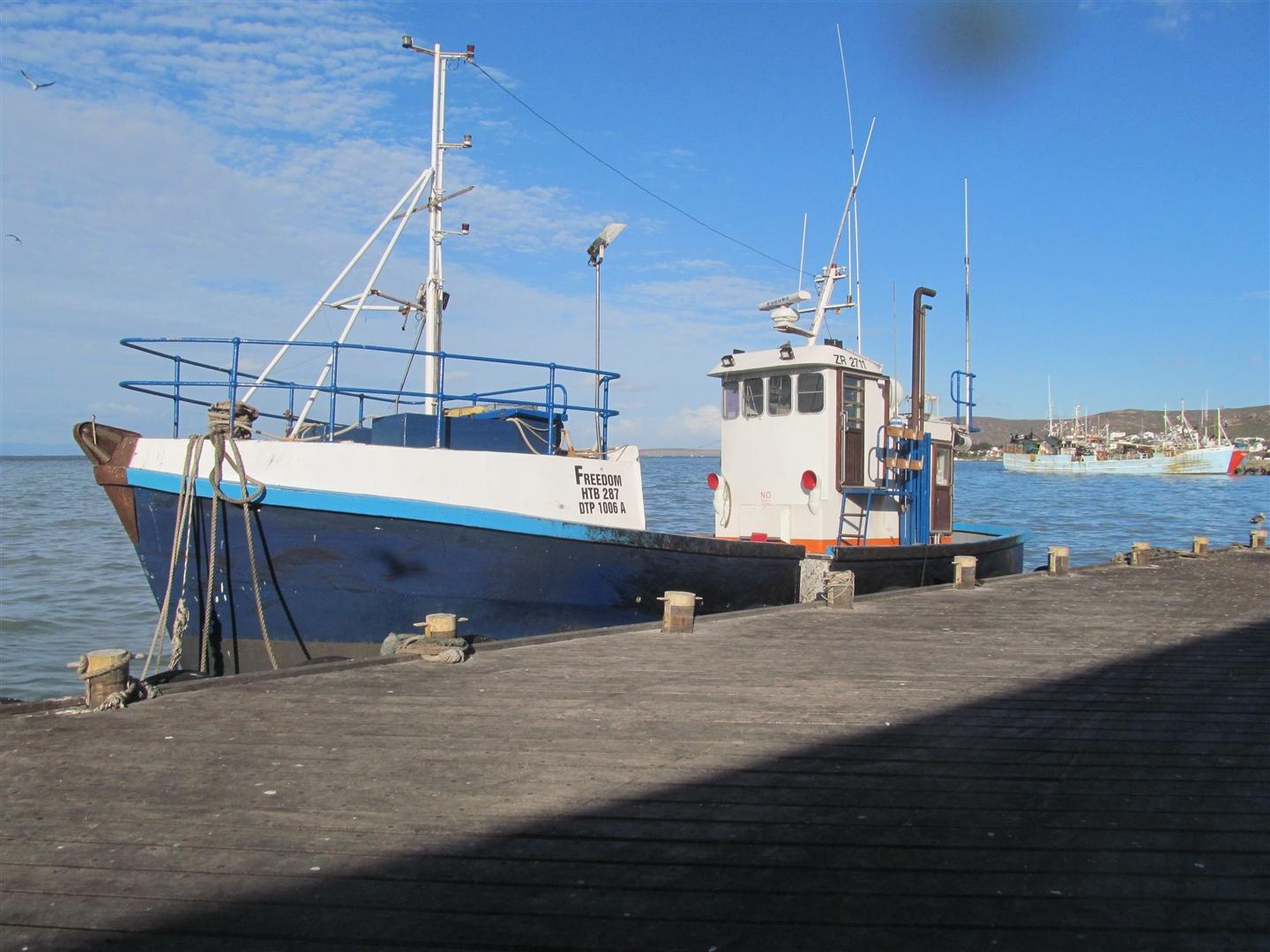 Image 8