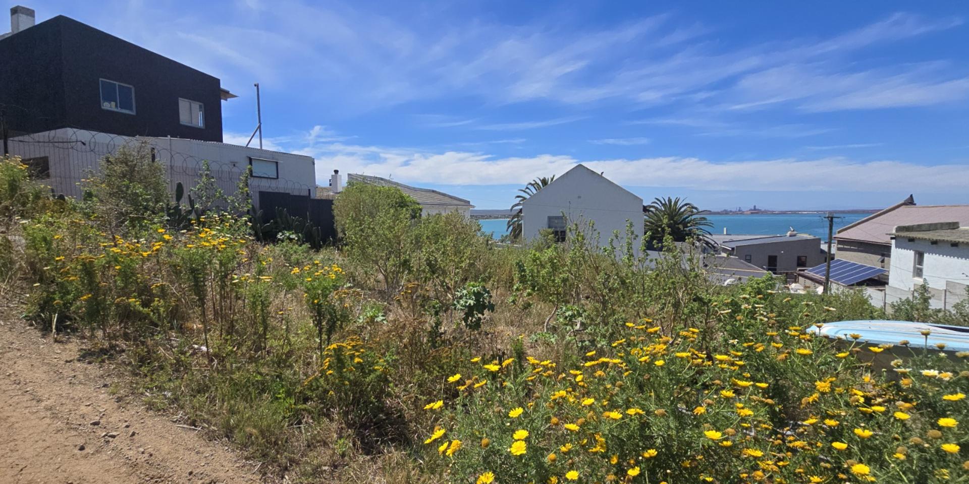 Image 4 of 6