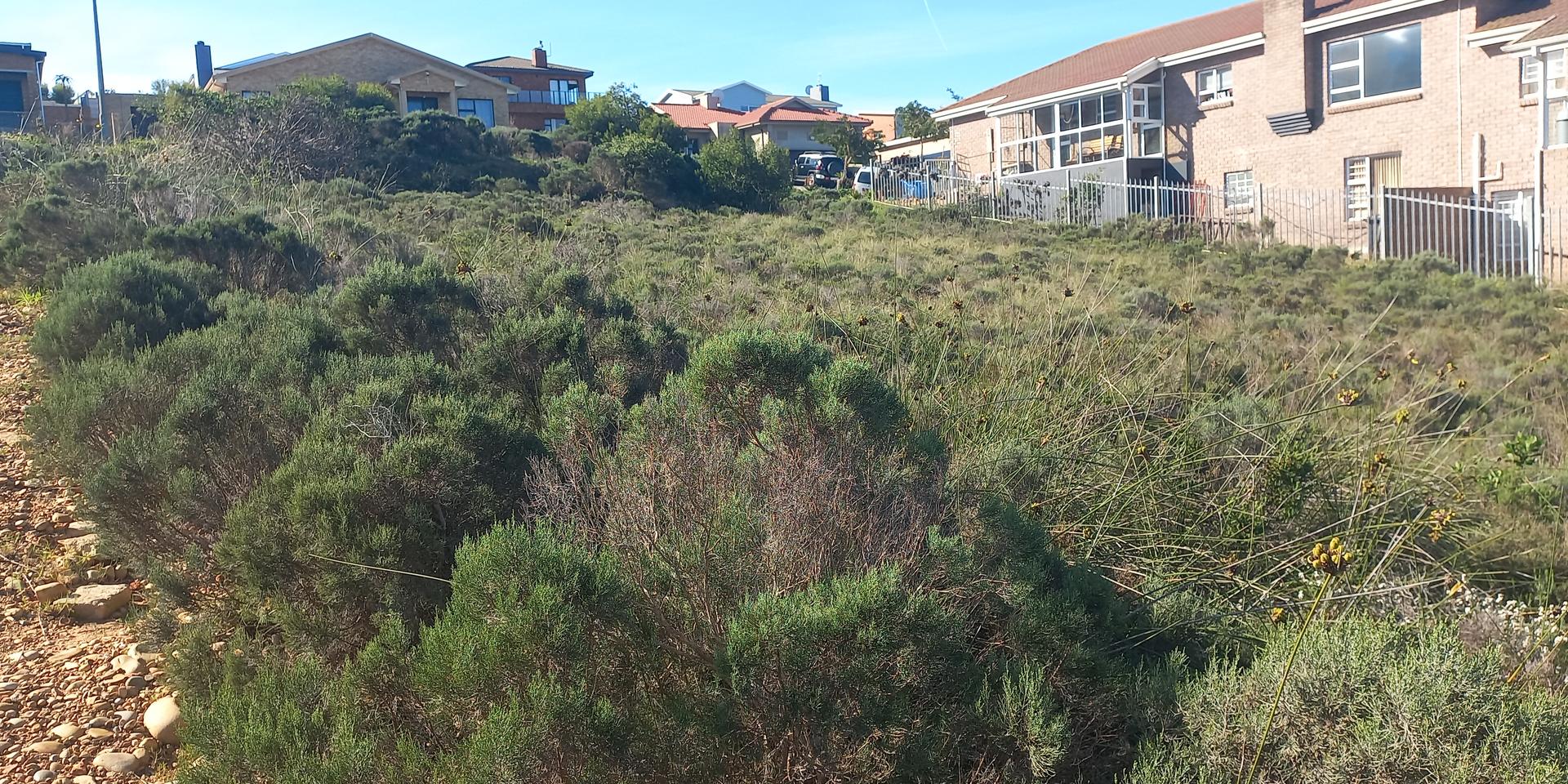 Image 4 of 6