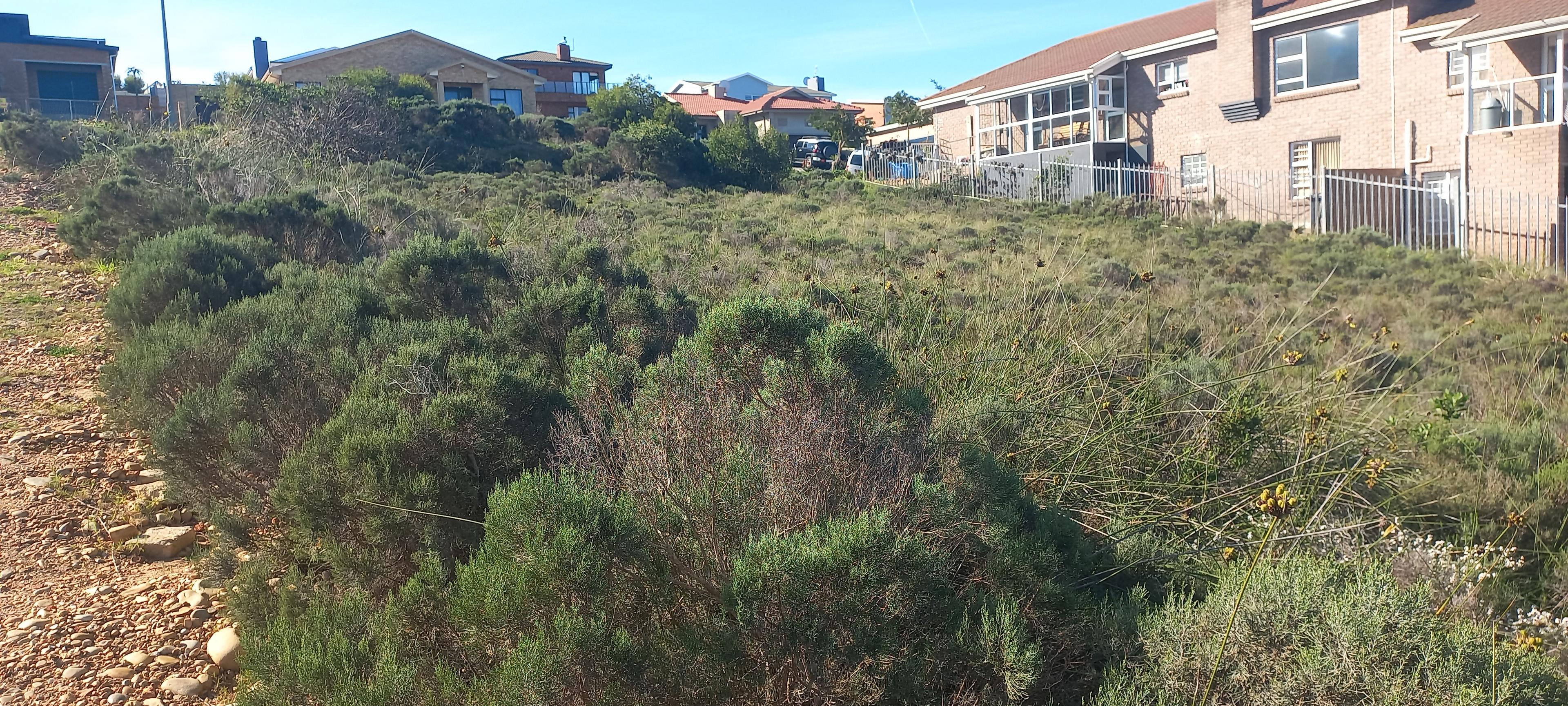 Image 4 of 6
