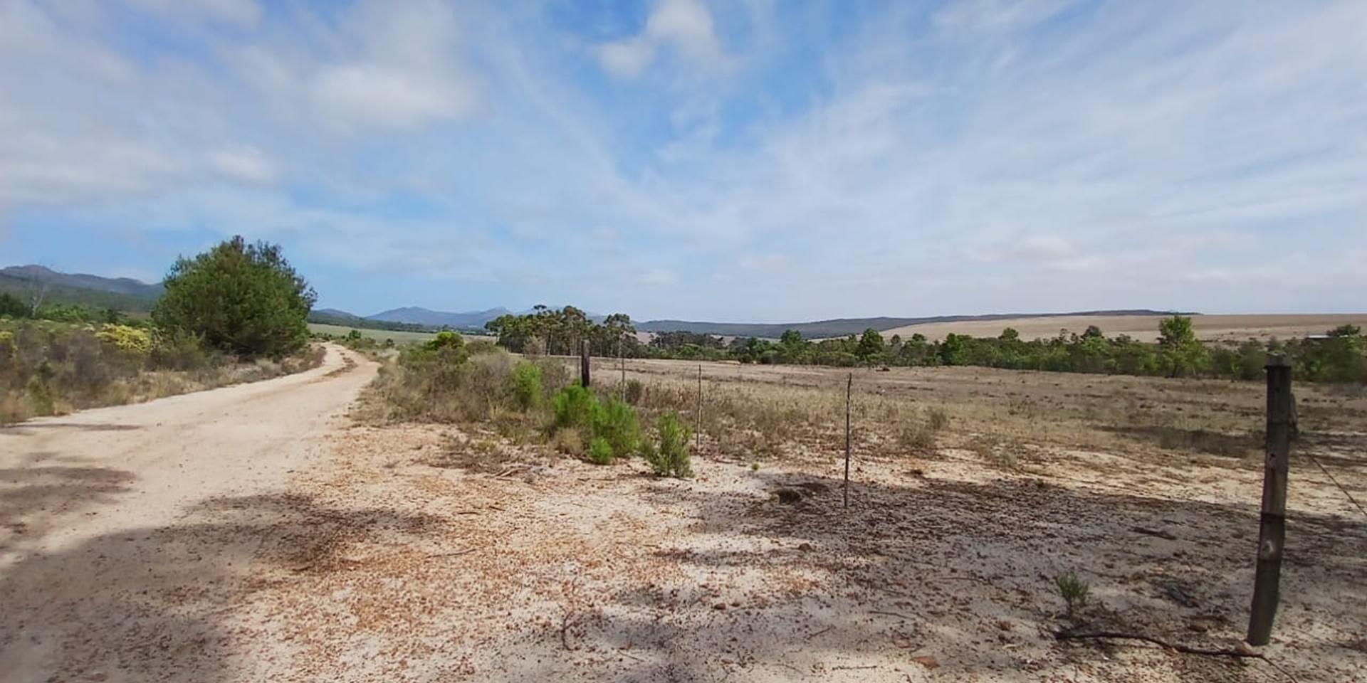 Image 3 of 6