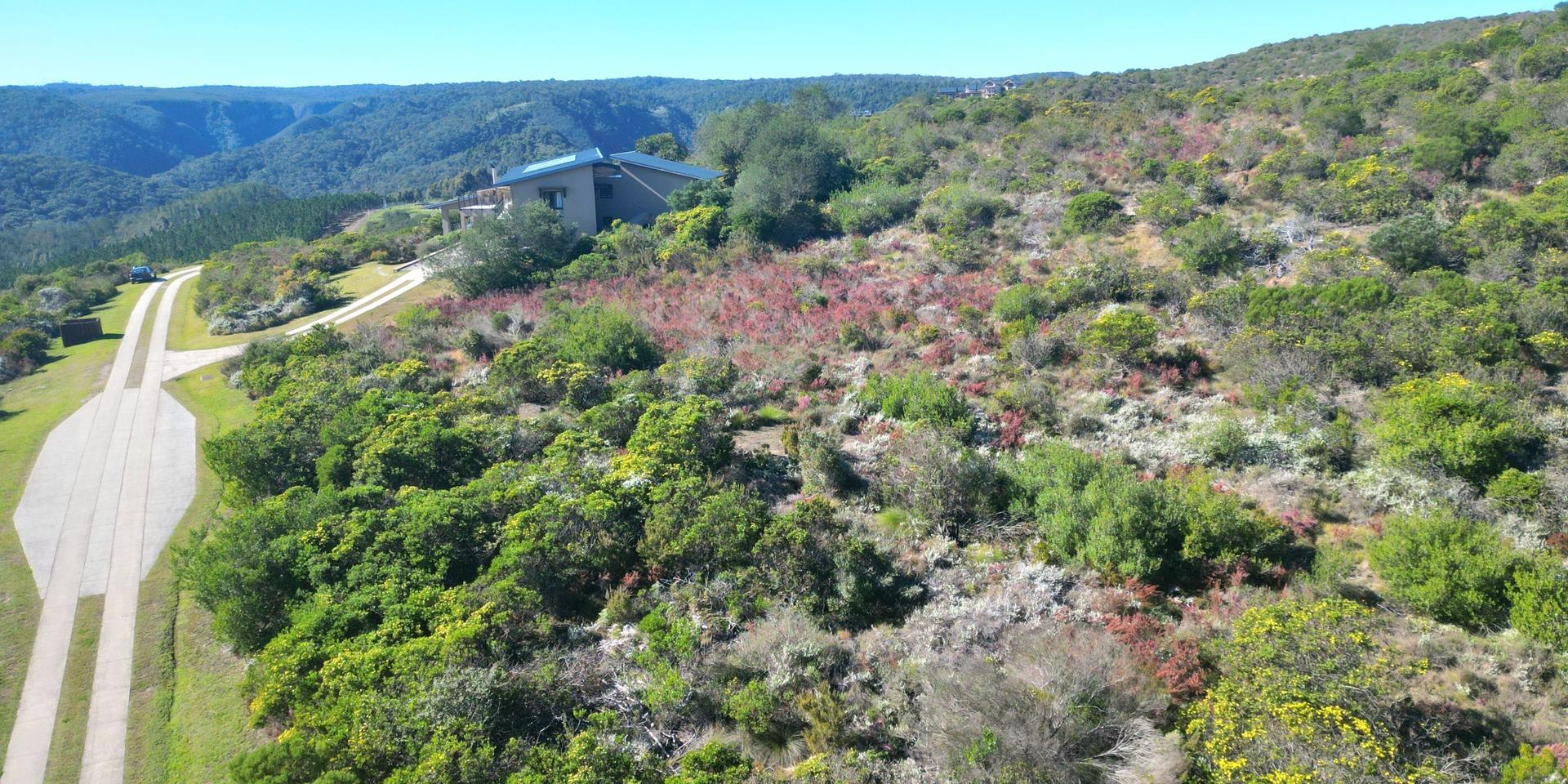 Image 5 of 6