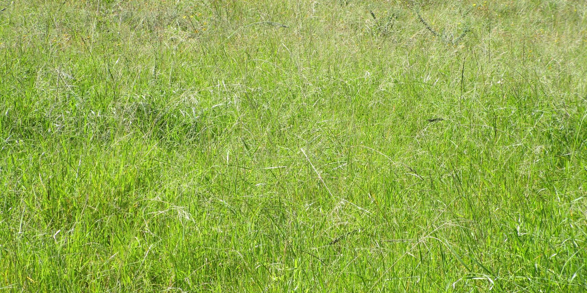 Image 4 of 6