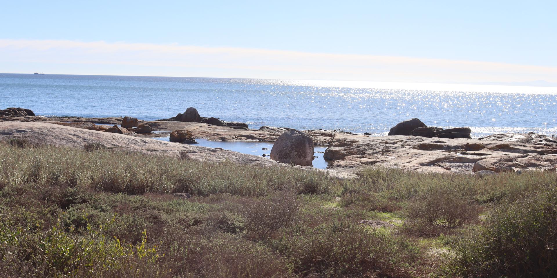 Image 5 of 6