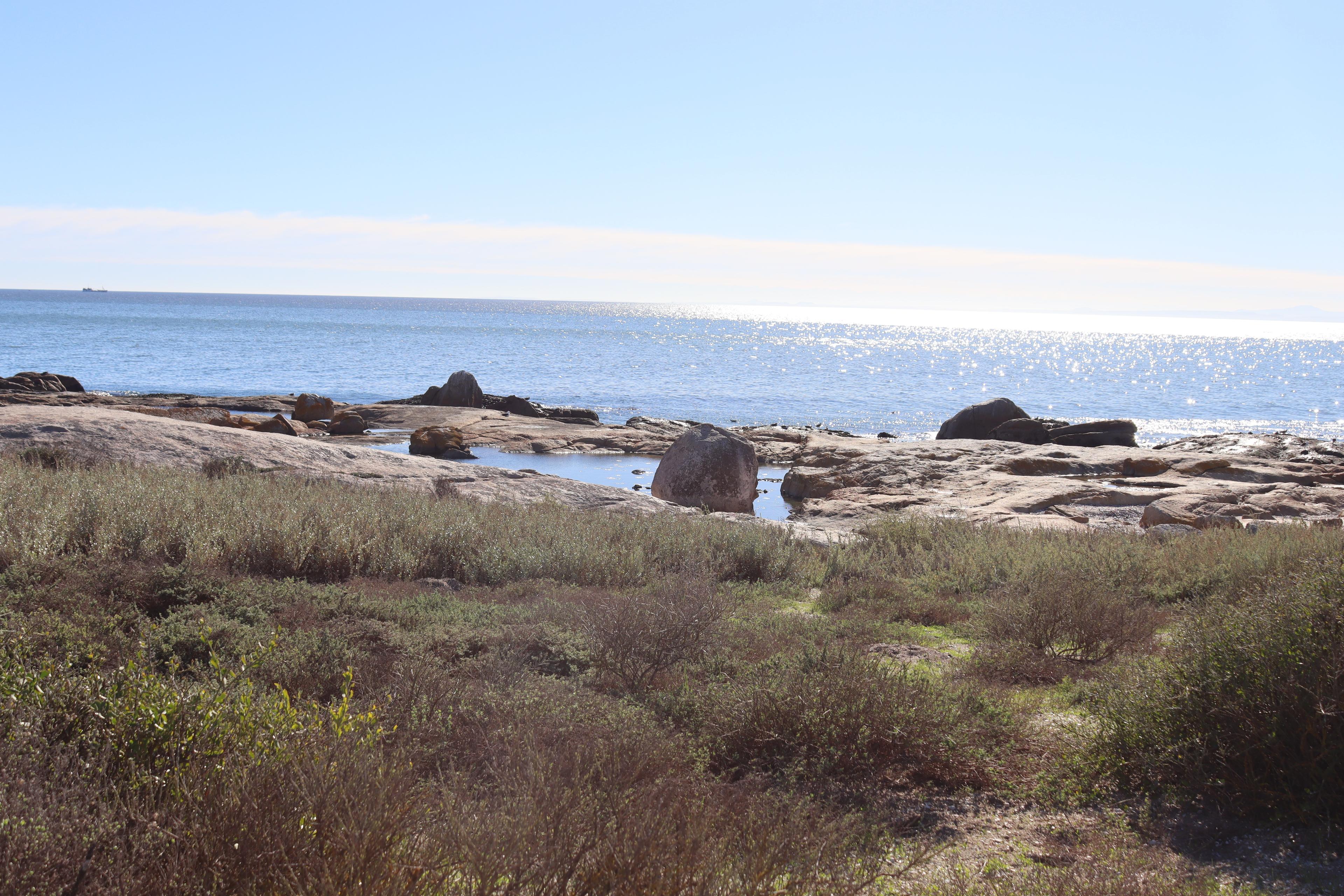 Image 5 of 6