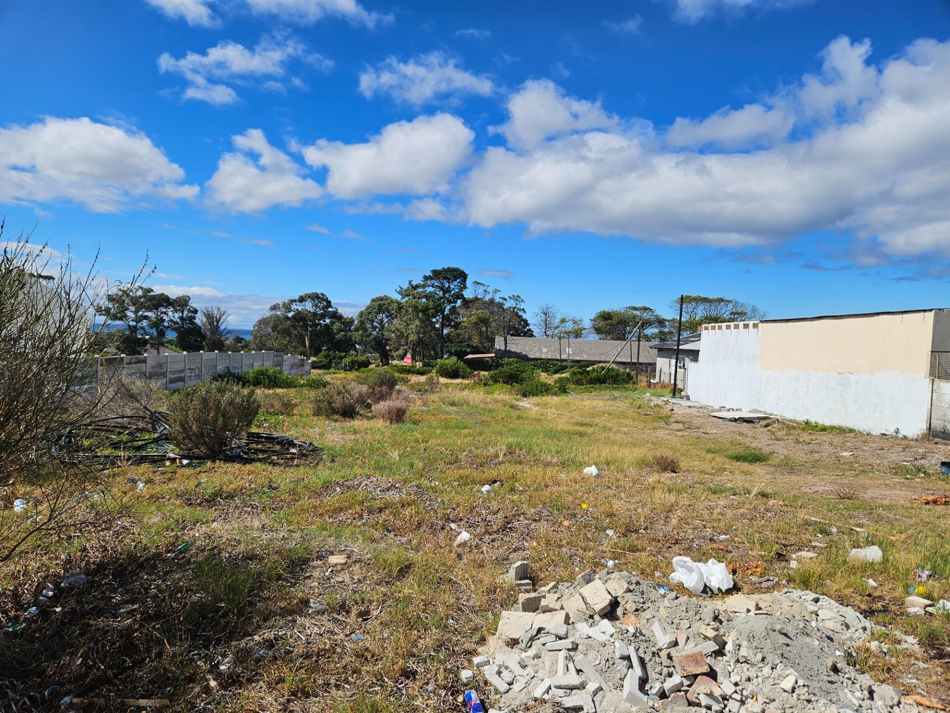Image 15