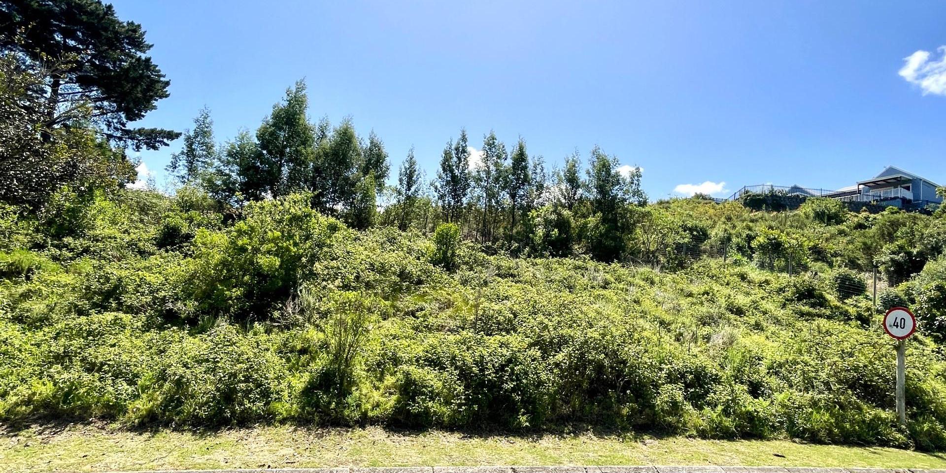 Image 4 of 6