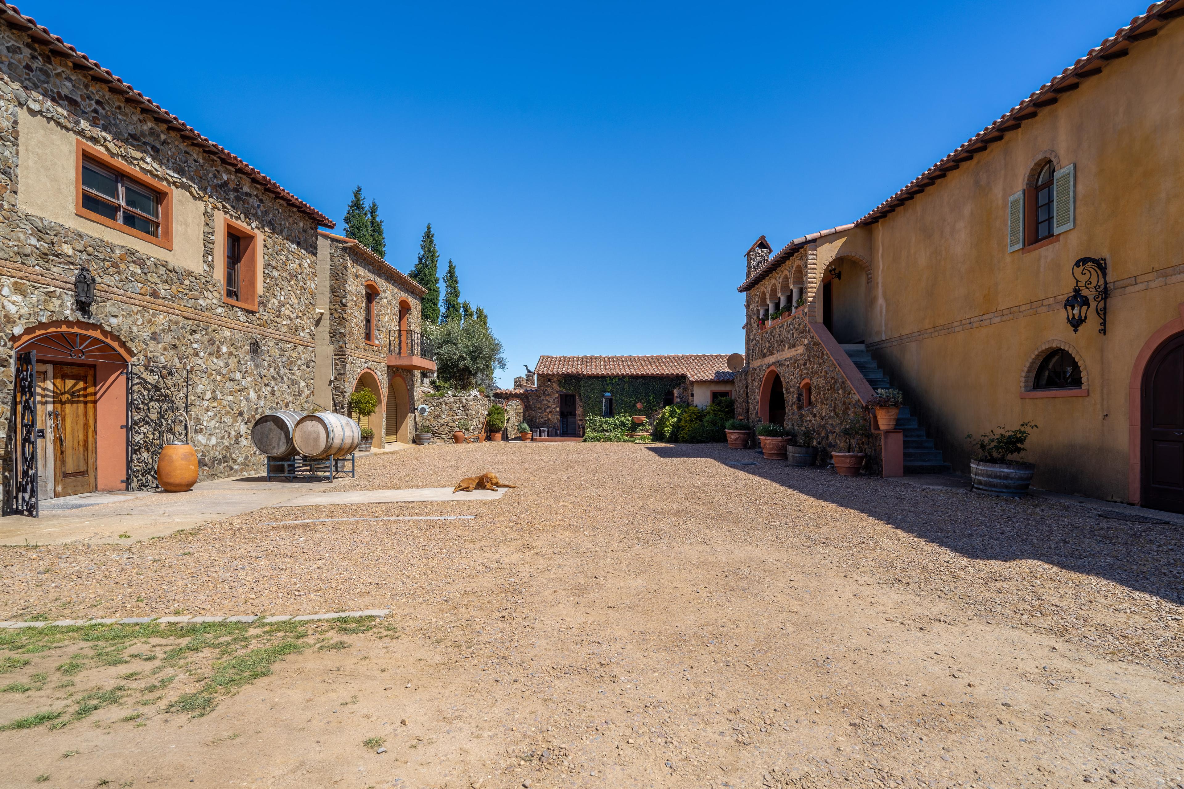 Image 13