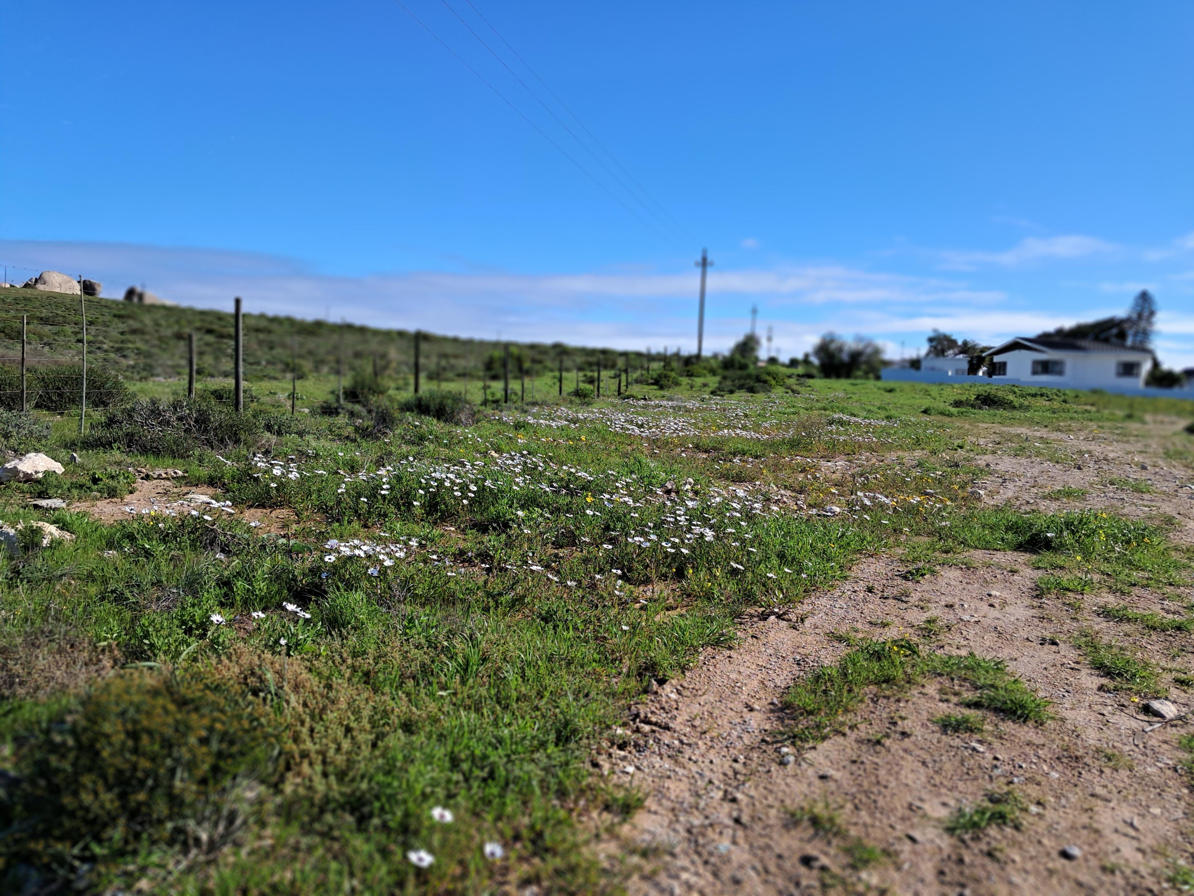 Image 4 of 6