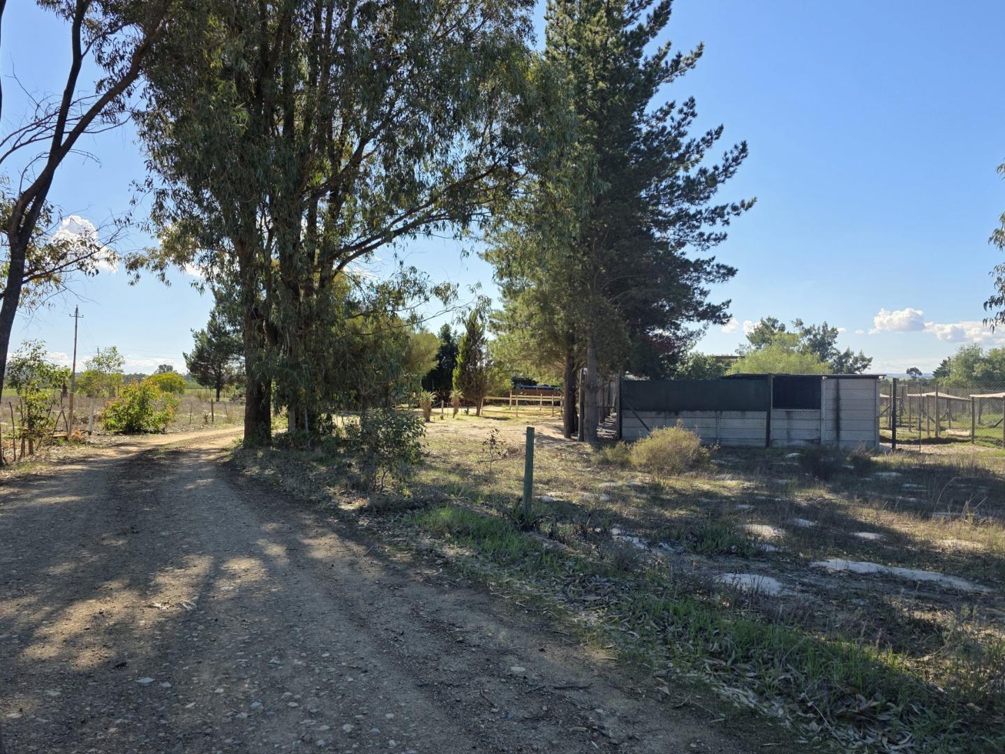 Image 30