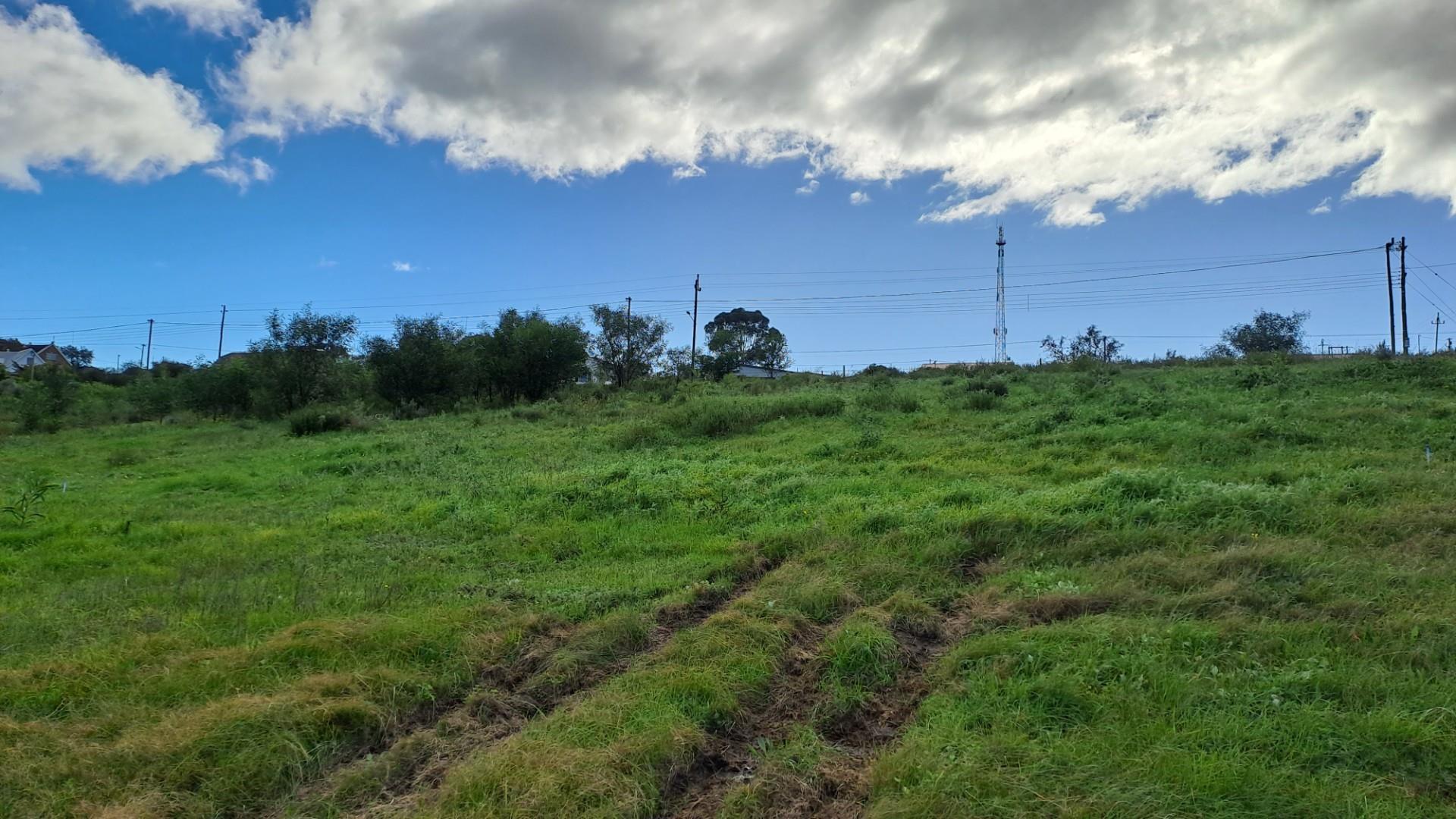 Image 10
