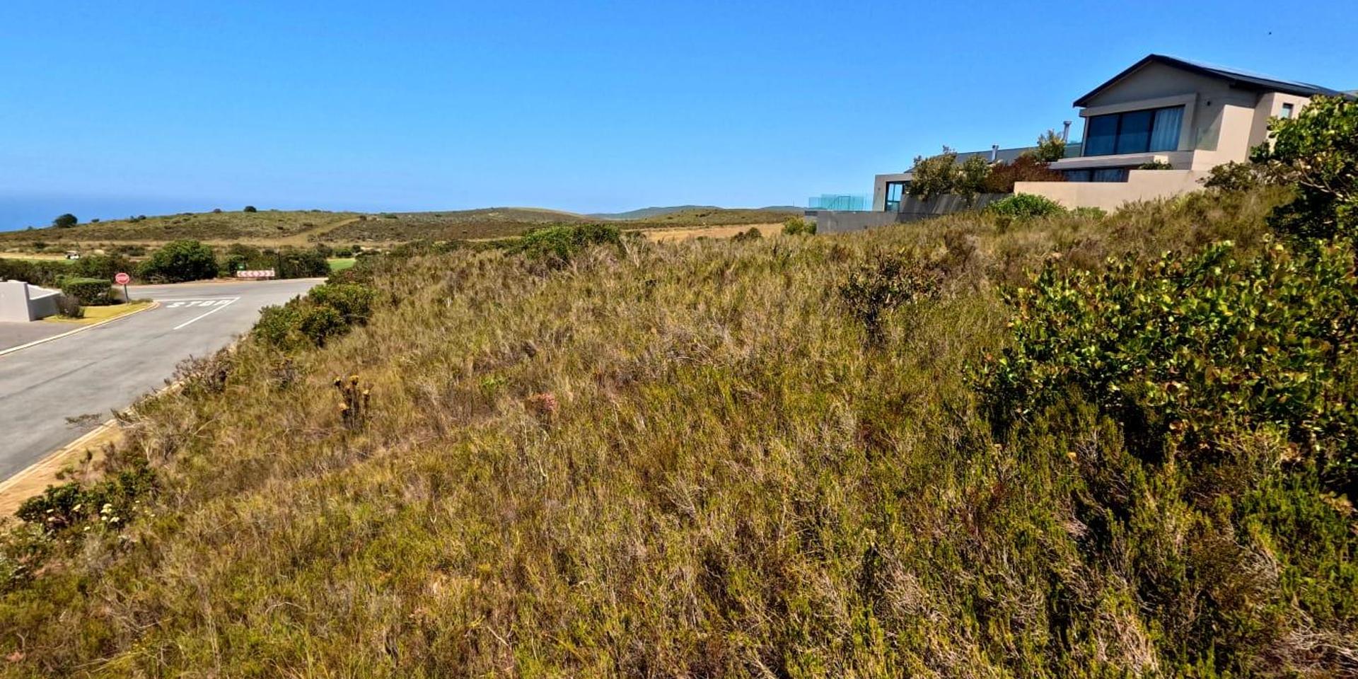 Image 4 of 6