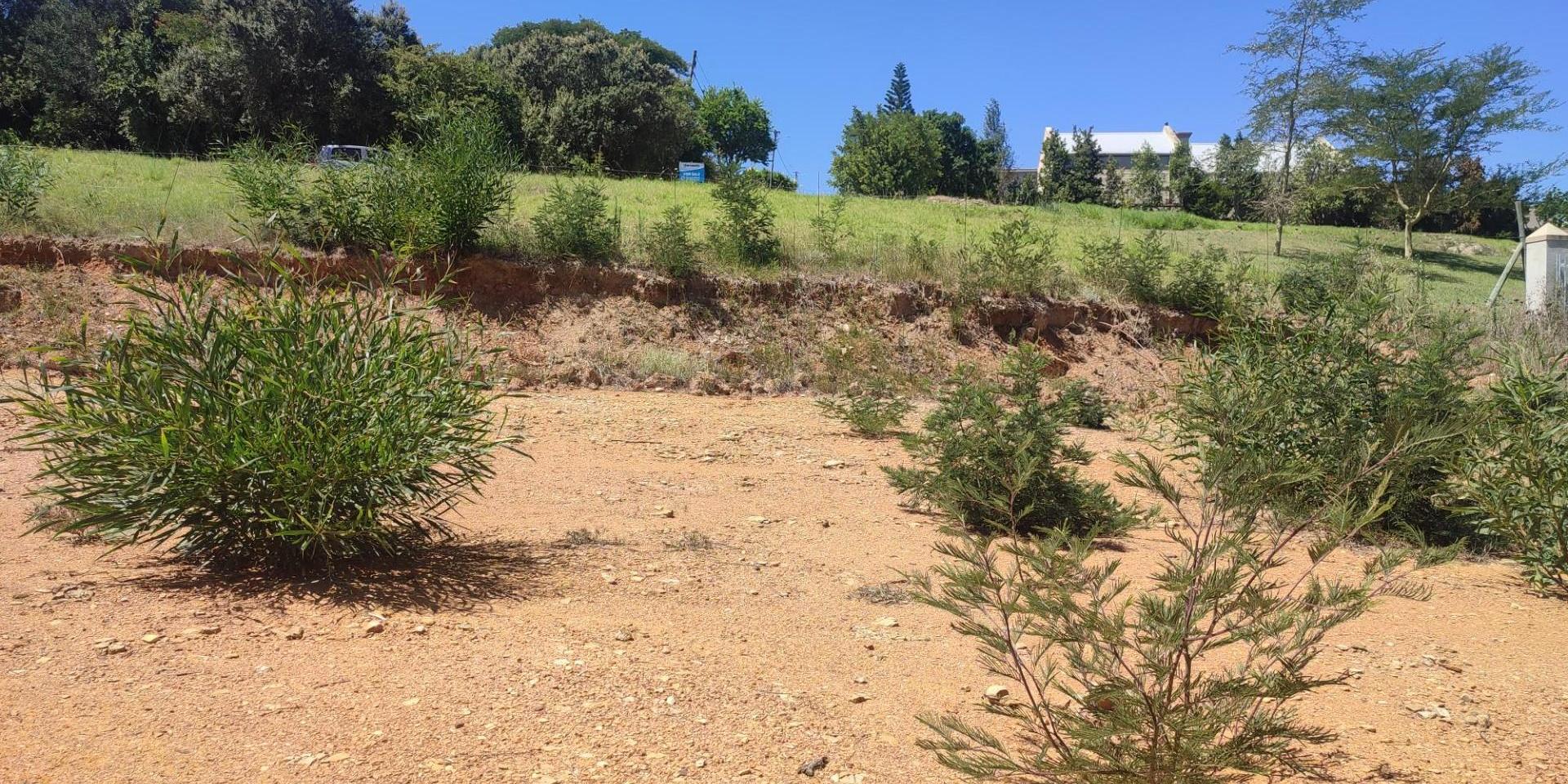 Image 4 of 6