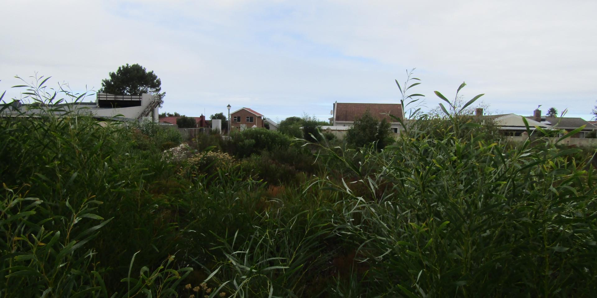 Image 3 of 6